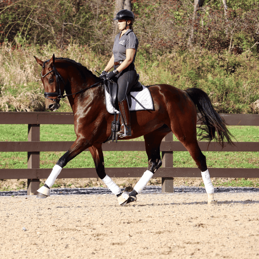 AKM Dressage