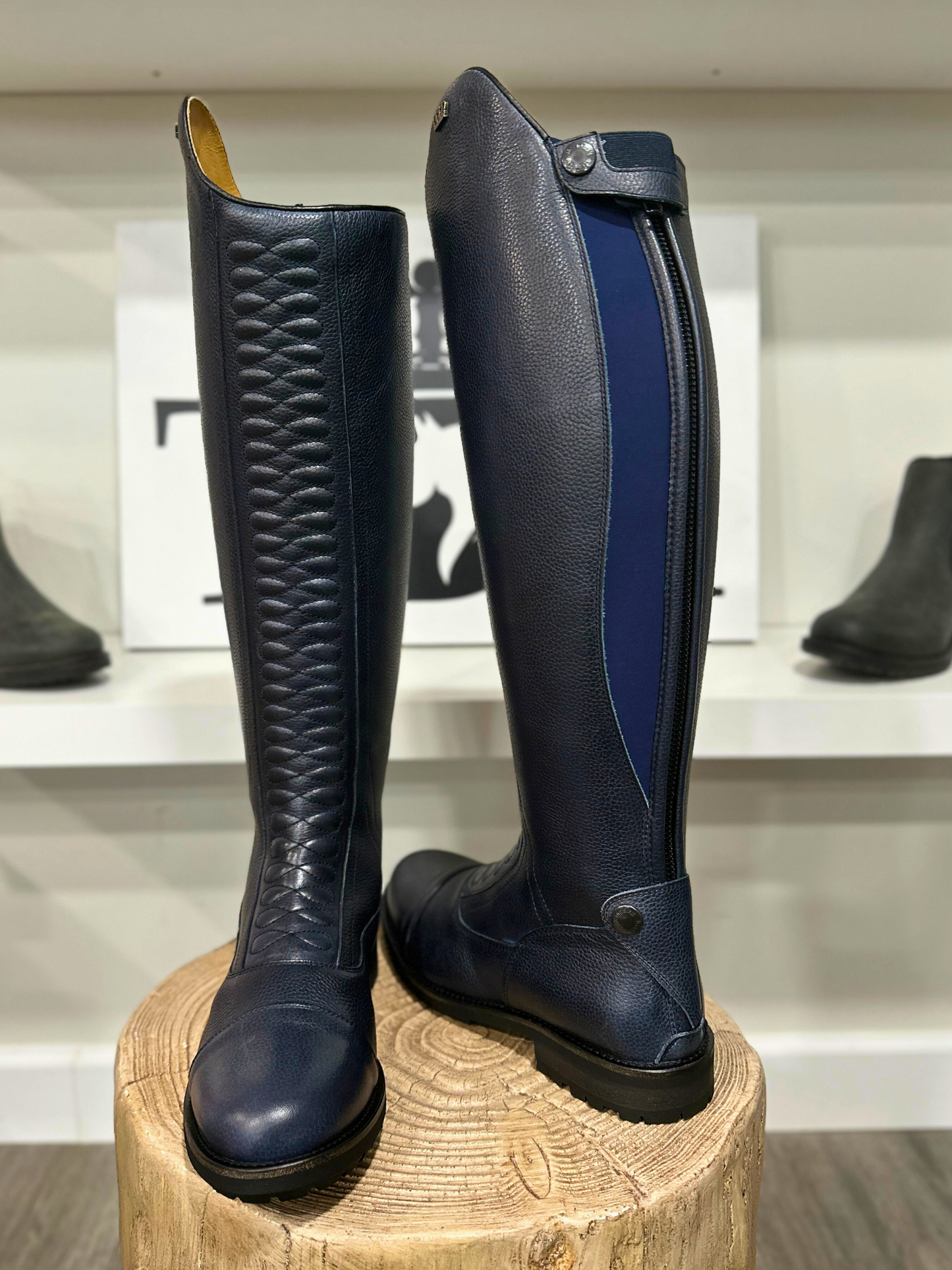 TDR's Katie M (Kingsley Infinity with Amsterdam Sole)