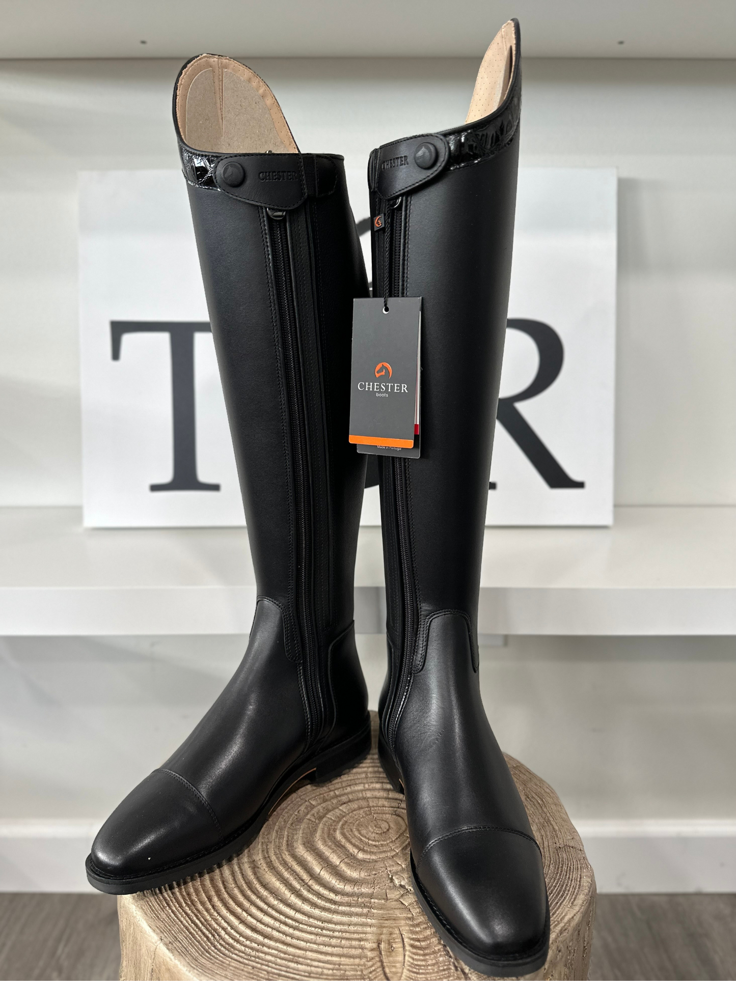 TDR's Ginny B (Chester Aachen)