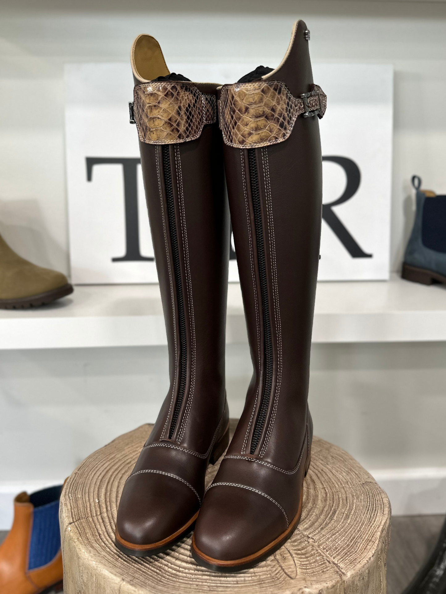 TDR's Kathi (Kingsley London 01)