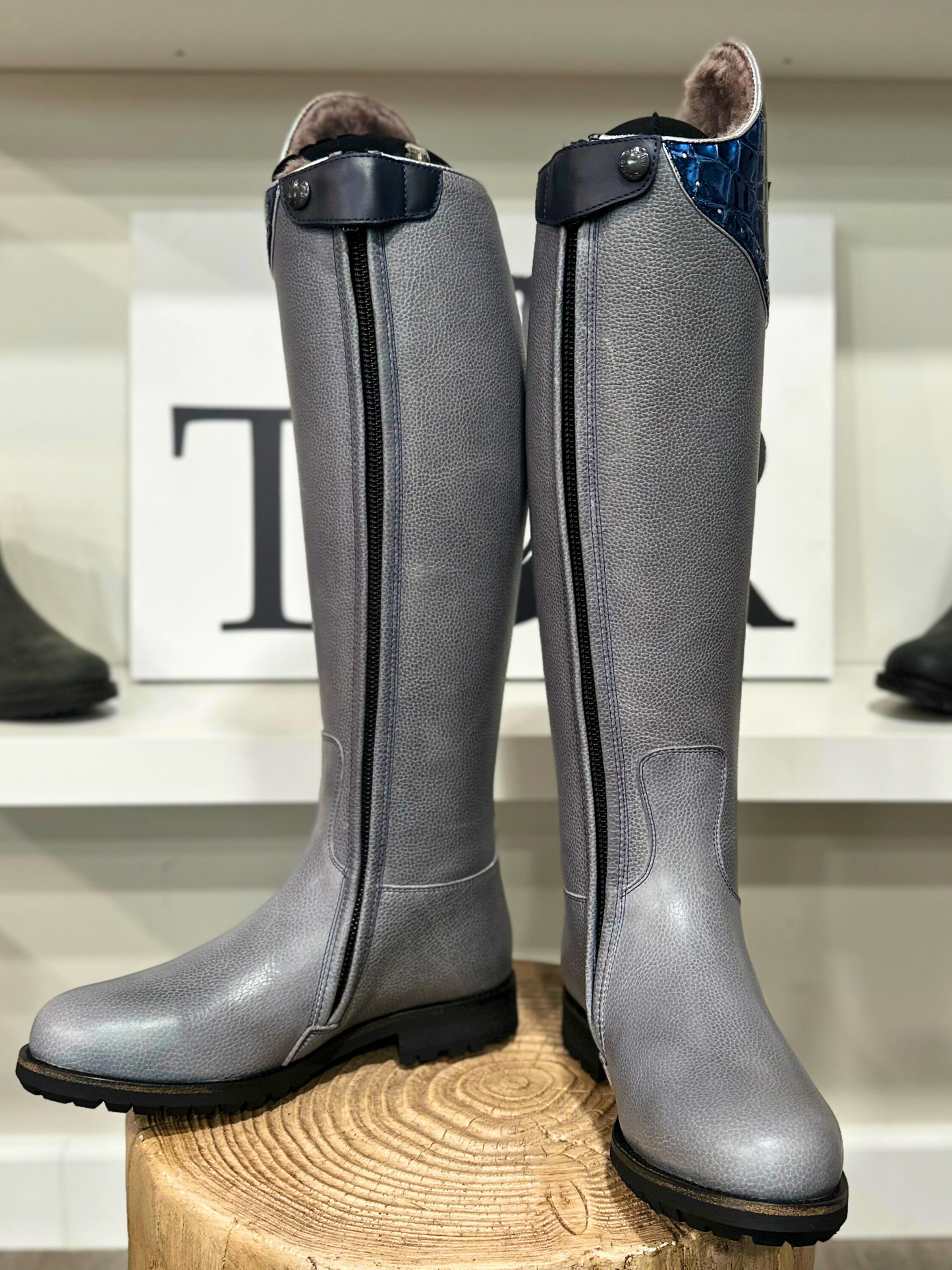 TDR's Caitlyn (Kingsley WINTER Capri 01)