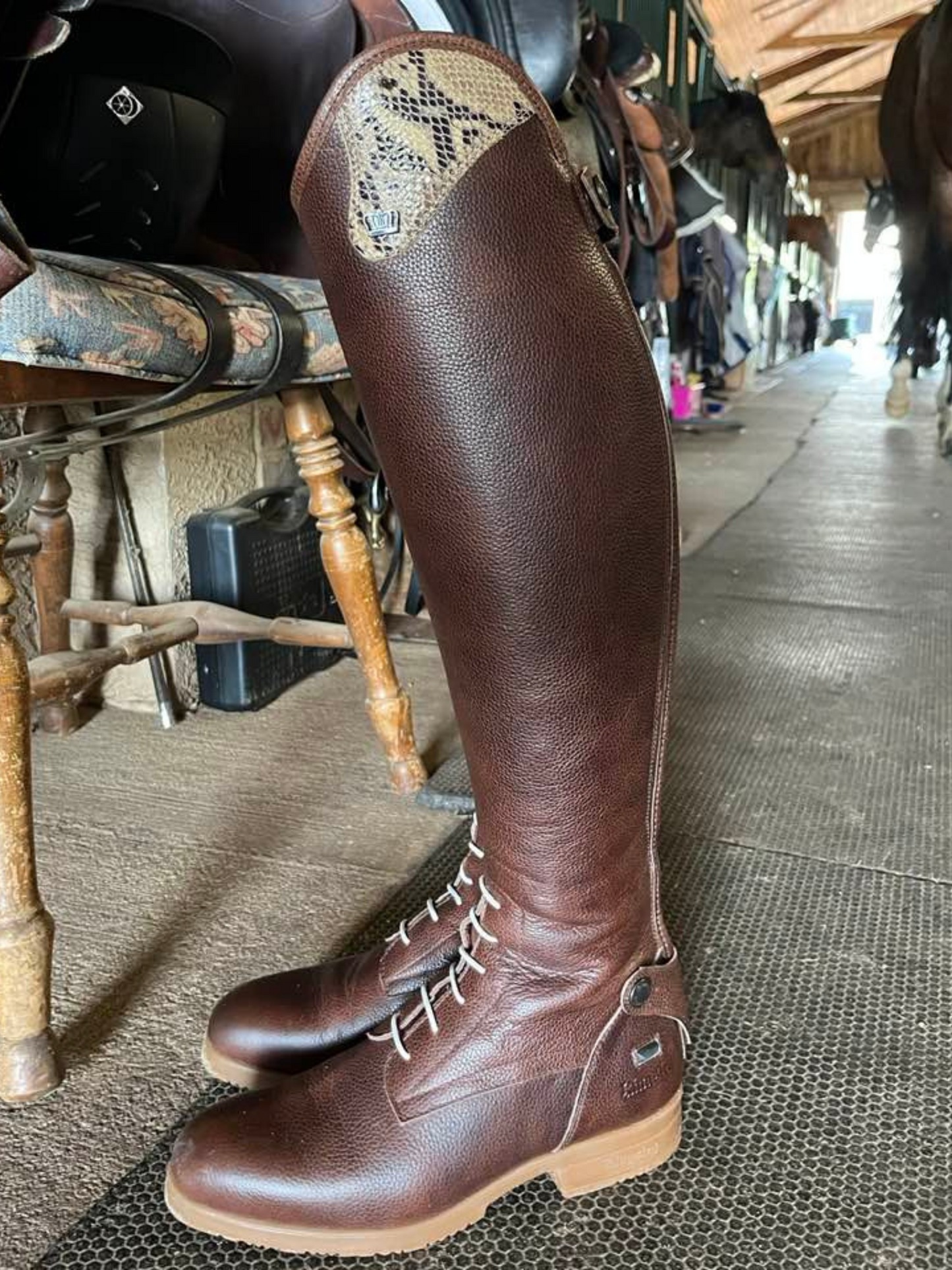 TDR's Bridget K (Kingsley Montreal)