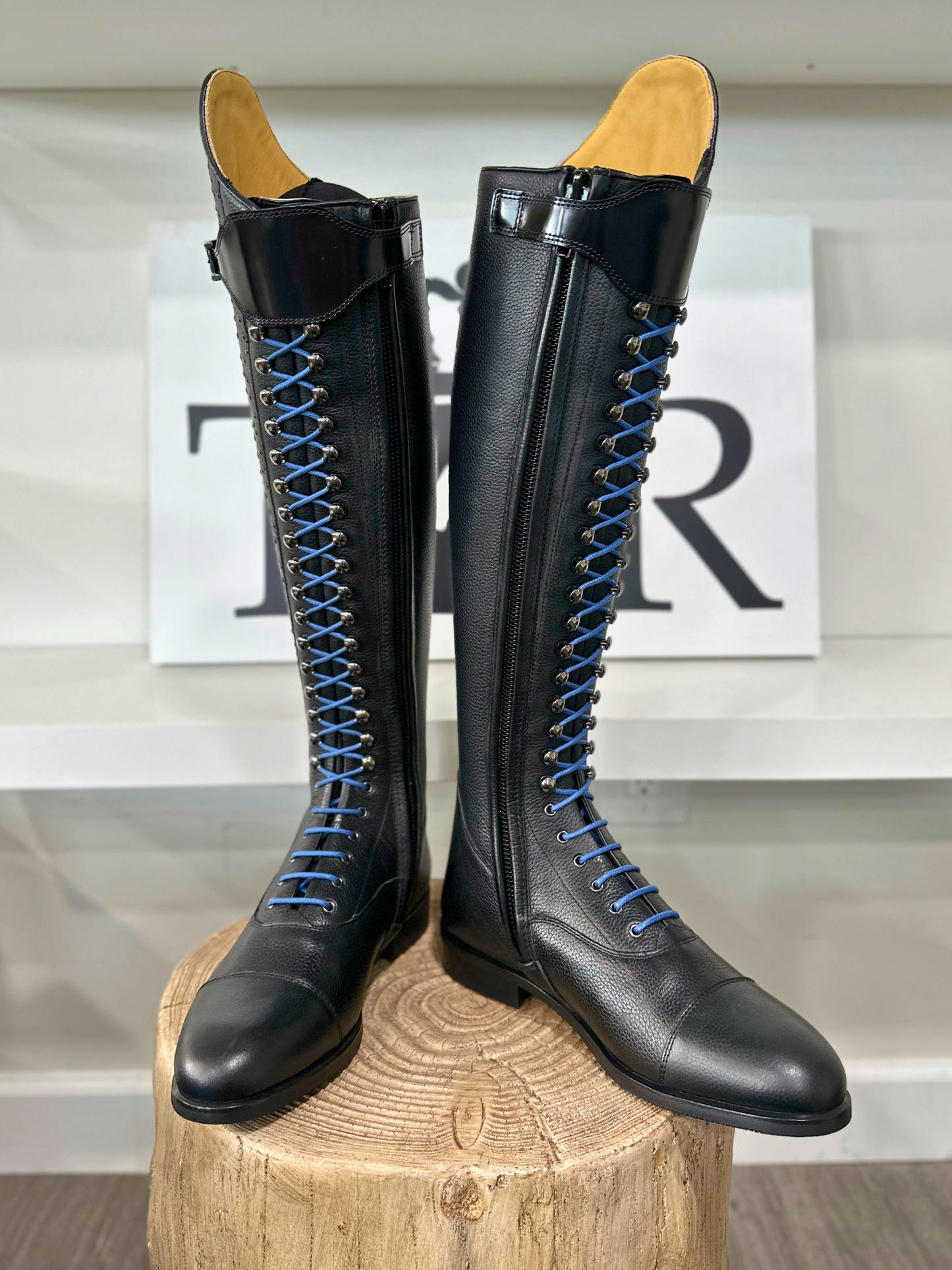 TDR's Alexa (Kingsley Orlando 02)