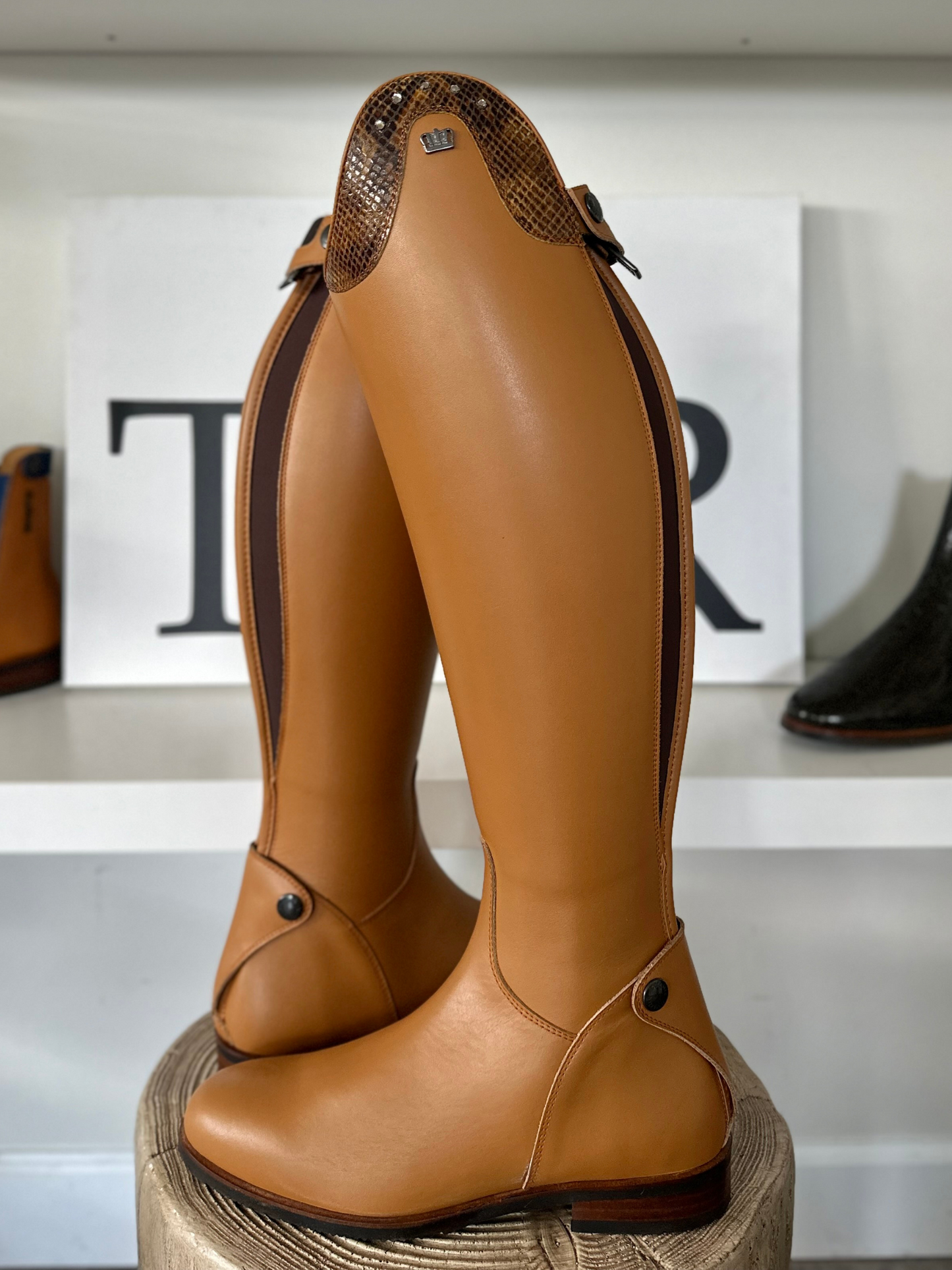 Kingsley Maris (Cognac)