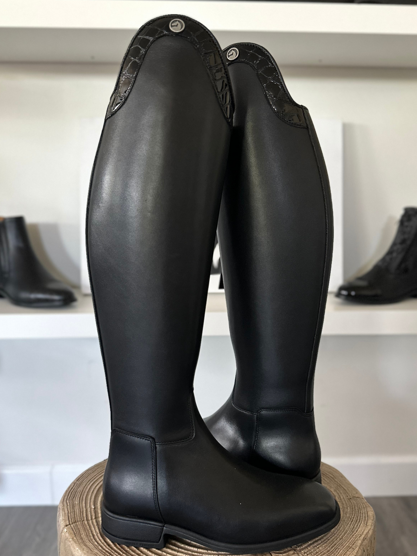 Chester Aachen Dressage Boot (Black)