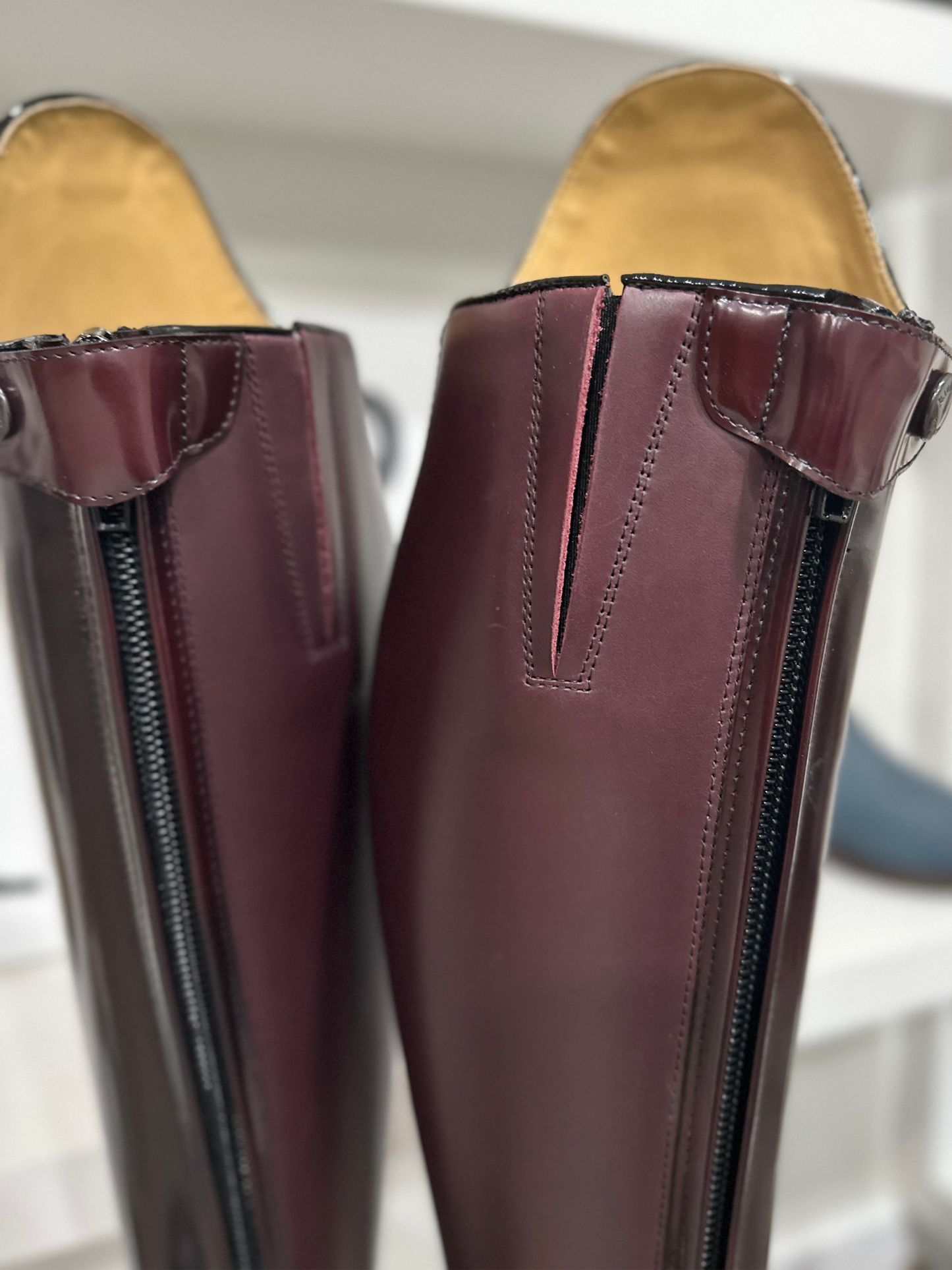 Kingsley Capri 02 (Uragano Bordeaux)