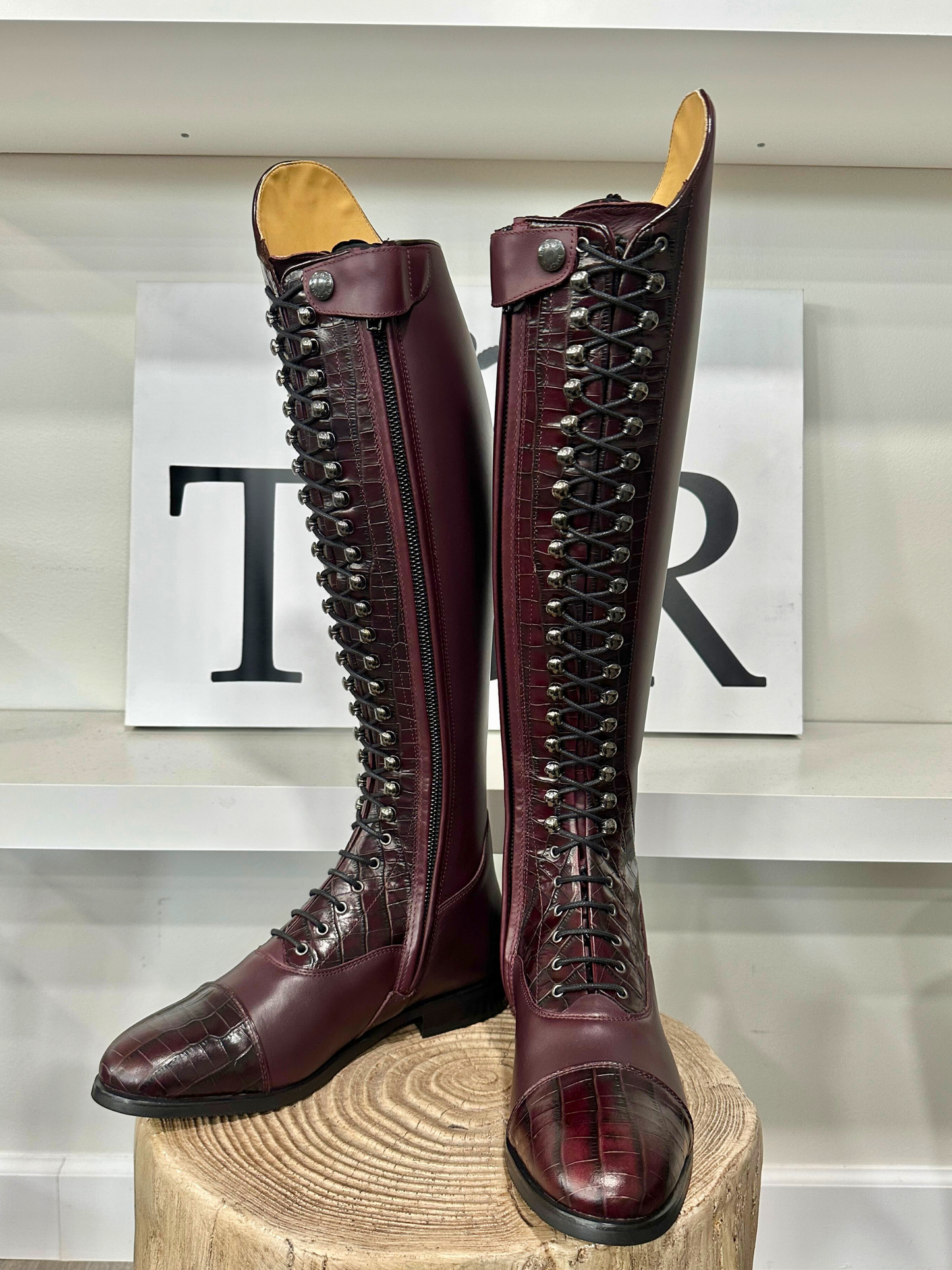 TDR's Bette (Kingsley Orlando 02)