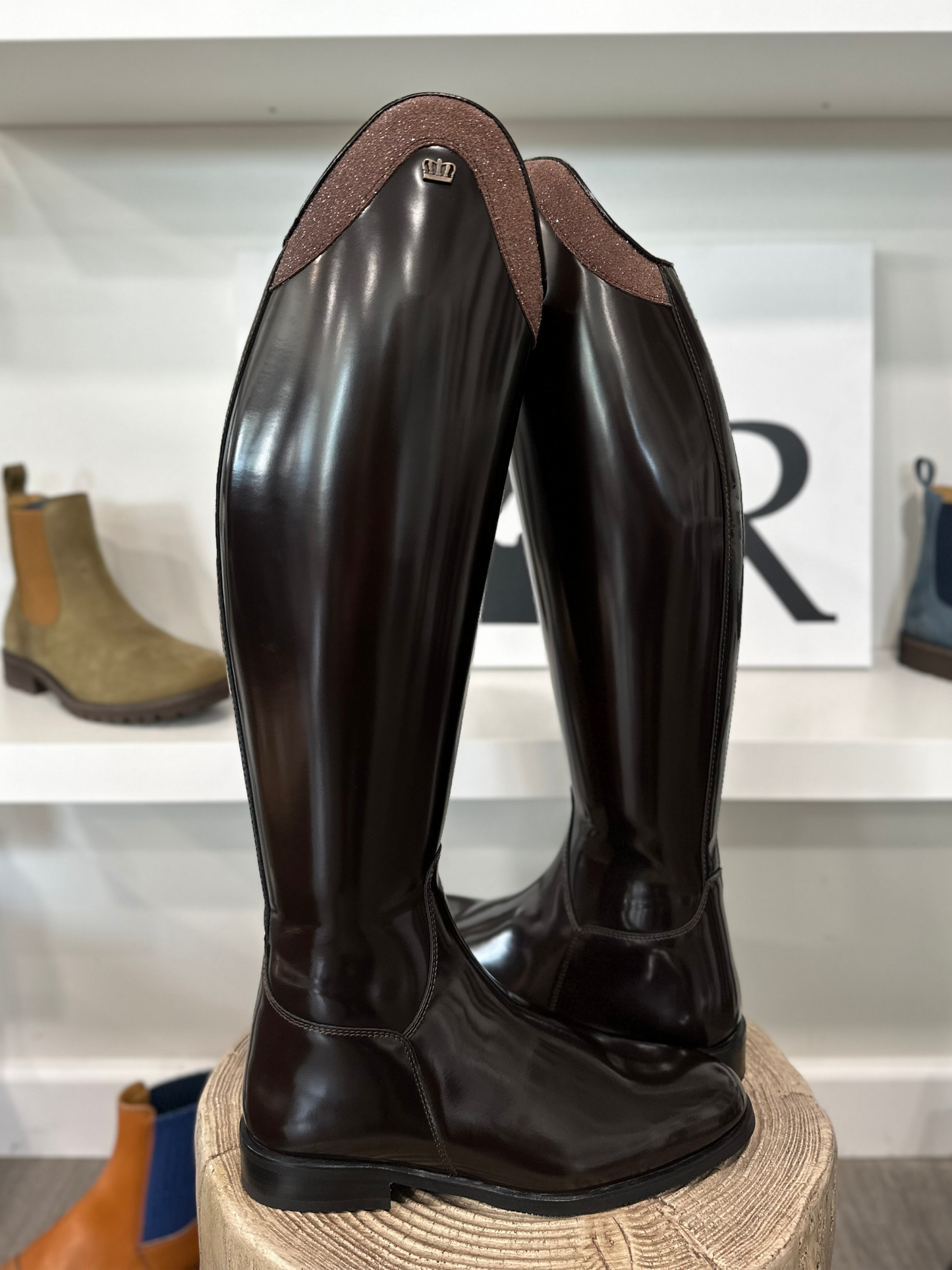 TDR's Petrina (Kingsley Capri 02)