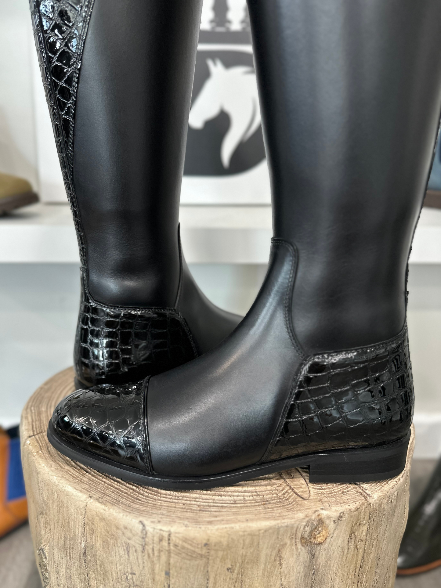TDR's Laura A 2.0 (Kingsley Capri 02)