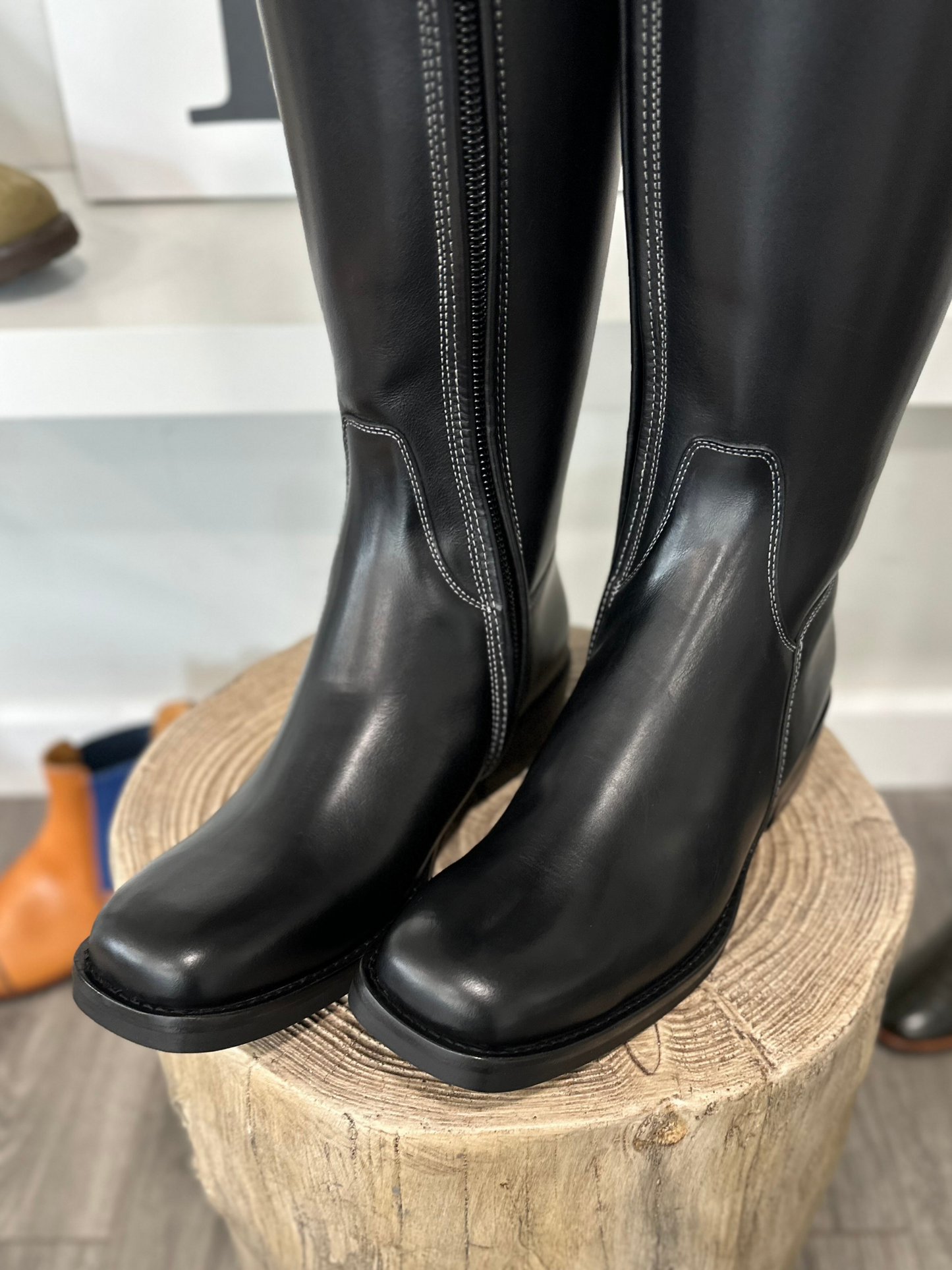 TDR's Christa (Kingsley Capri 01)