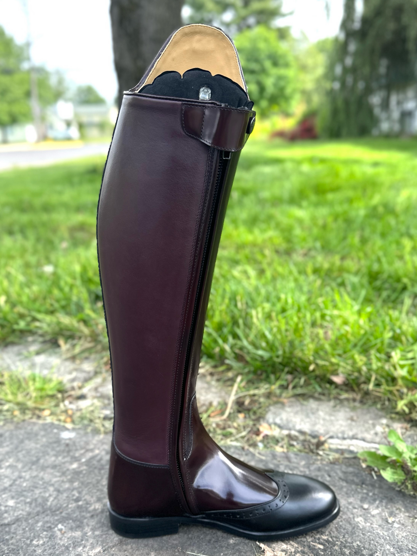 Kingsley Capri 02 (Uragano Bordeaux)