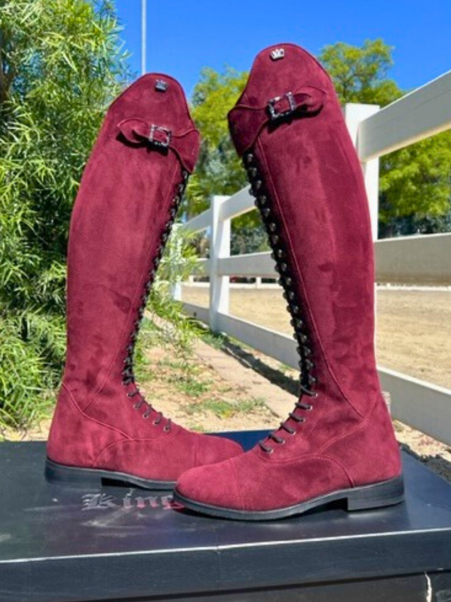 TDR's Milynn BORDEAUX Edition (Kingsley Orlando)