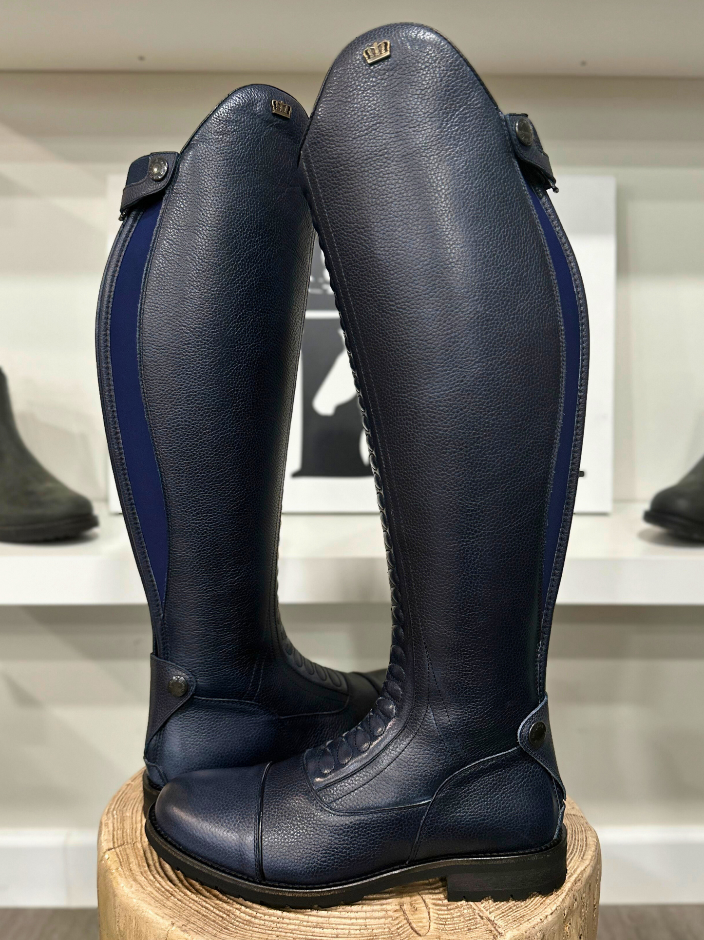 TDR's Katie M (Kingsley Infinity with Amsterdam Sole)