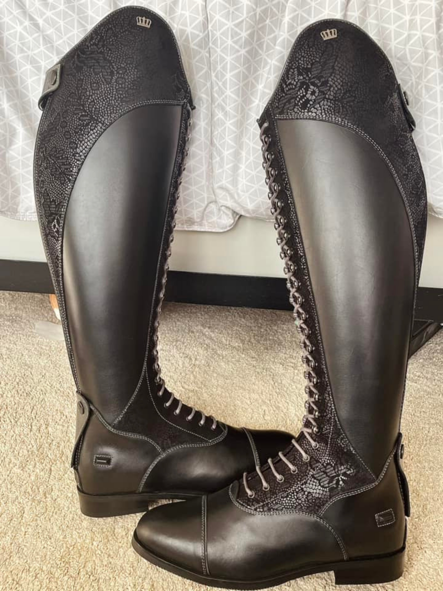 TDR's Chloe (Kingsley Orlando)