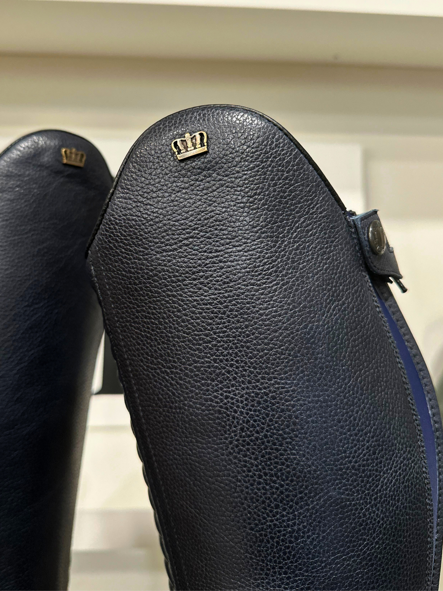 TDR's Katie M (Kingsley Infinity with Amsterdam Sole)