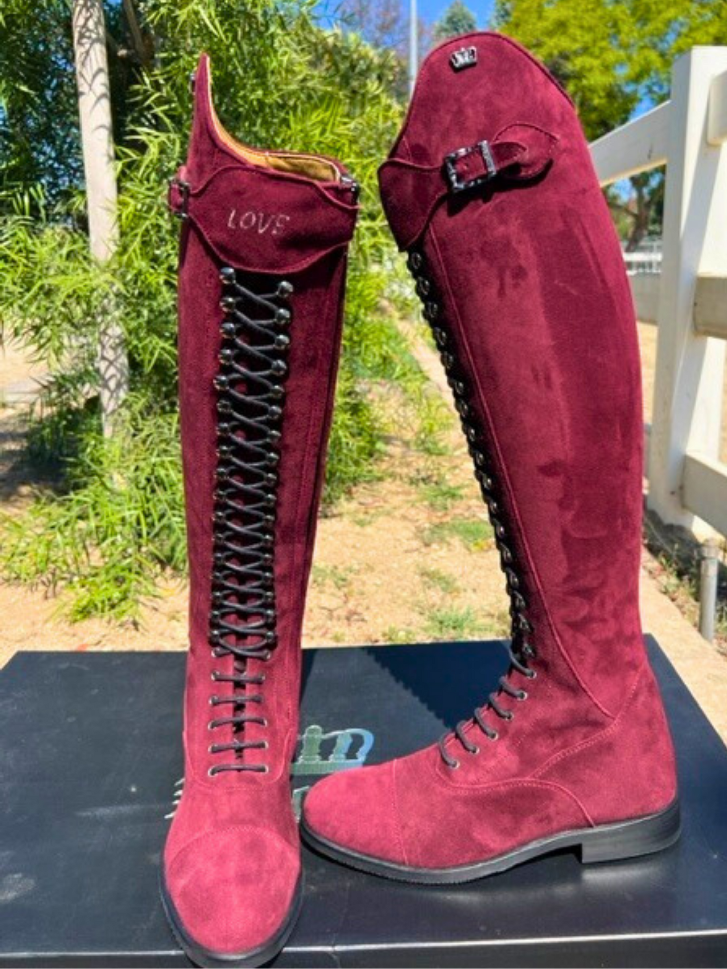 TDR's Milynn BORDEAUX Edition (Kingsley Orlando)