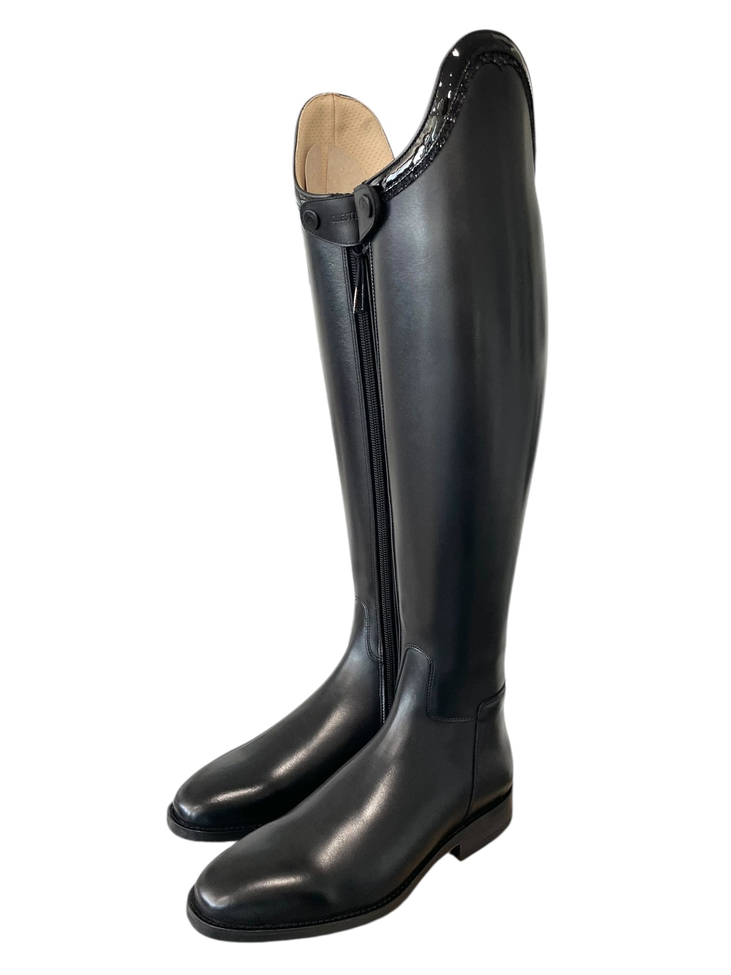 TDR's Madison F 2.0 (Chester Aachen)