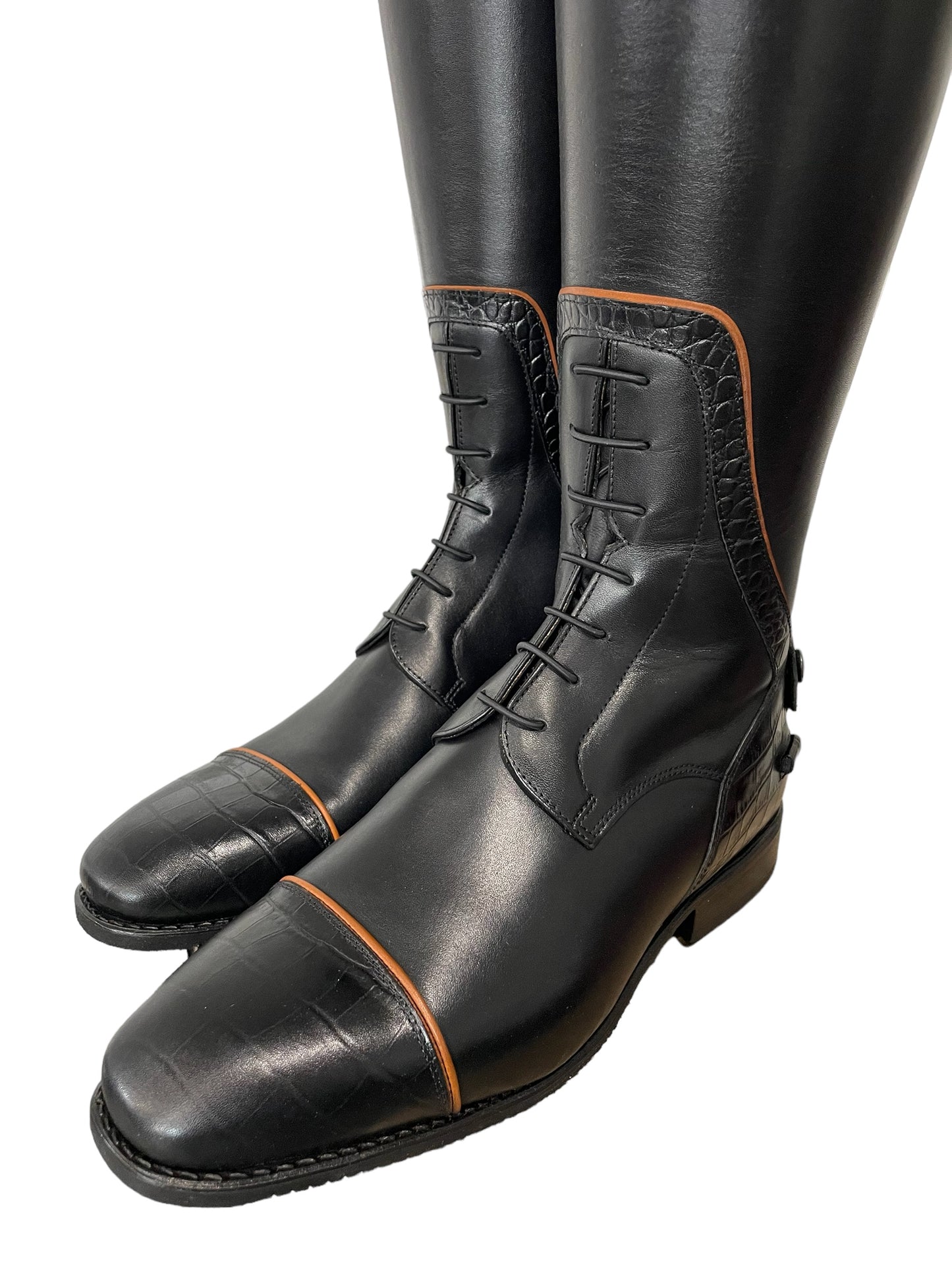 TDR's Frann D 2.0 (DeNiro Achille)