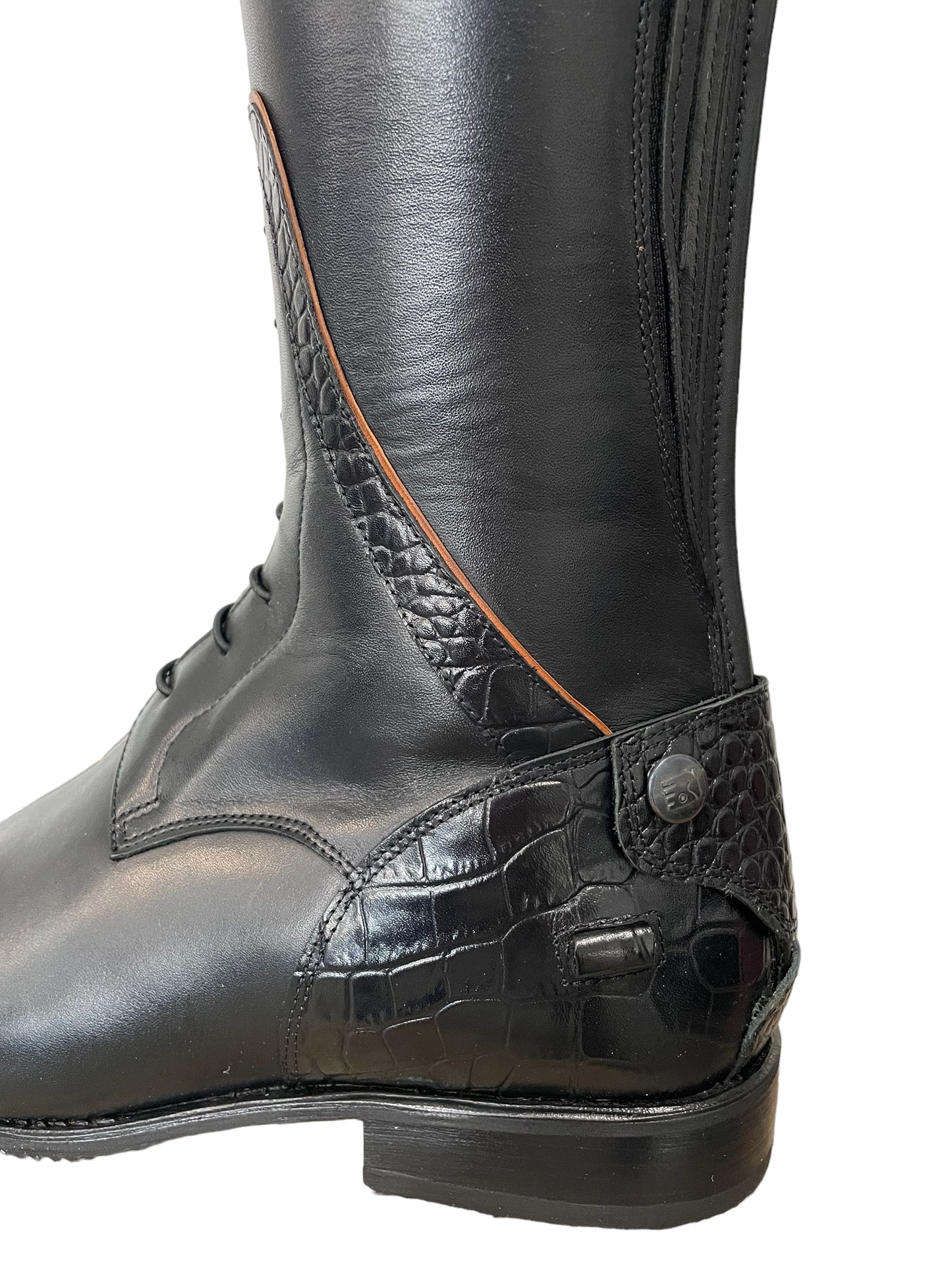 TDR's Frann D 2.0 (DeNiro Achille)