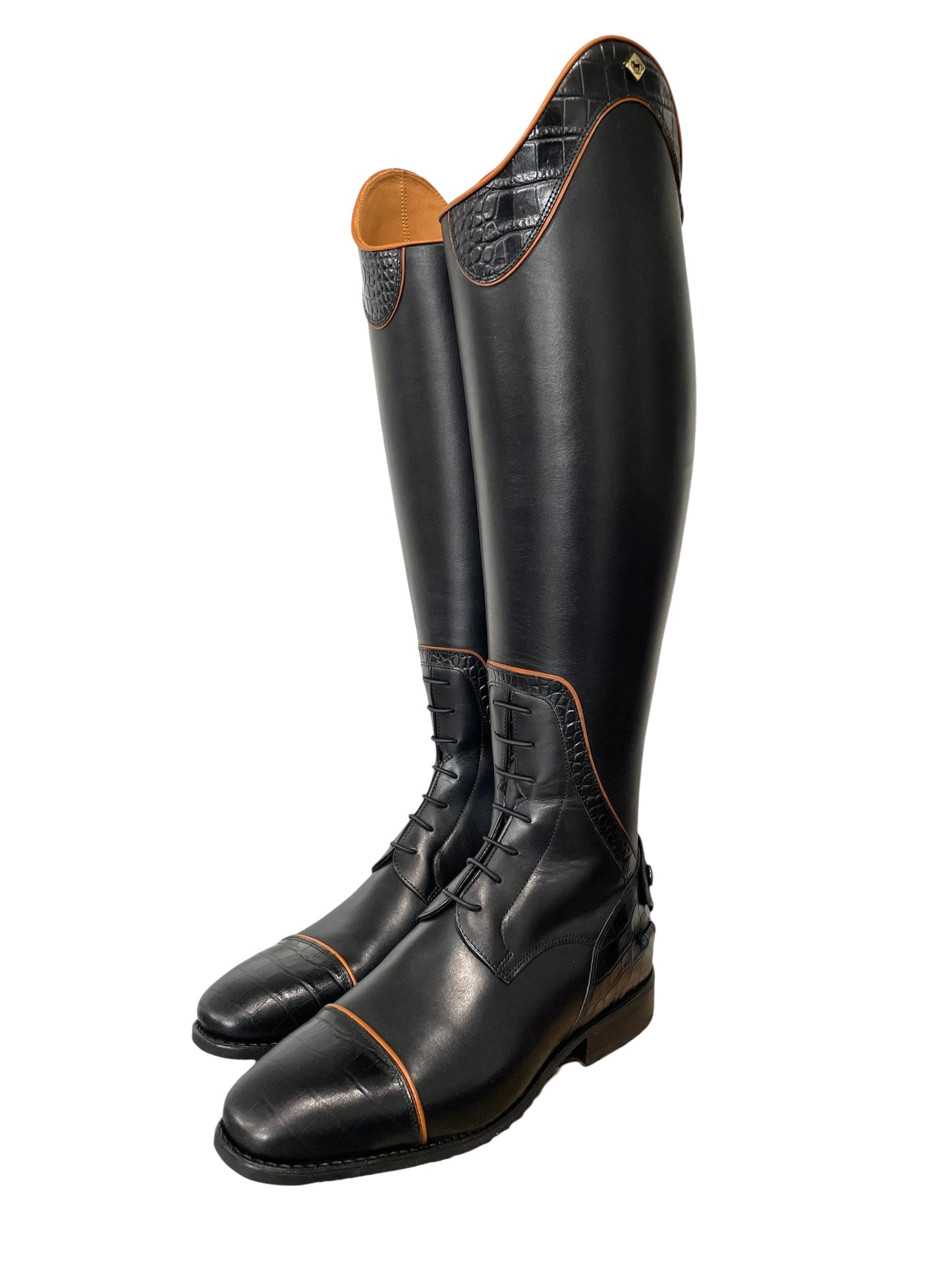 TDR's Frann D 2.0 (DeNiro Achille)