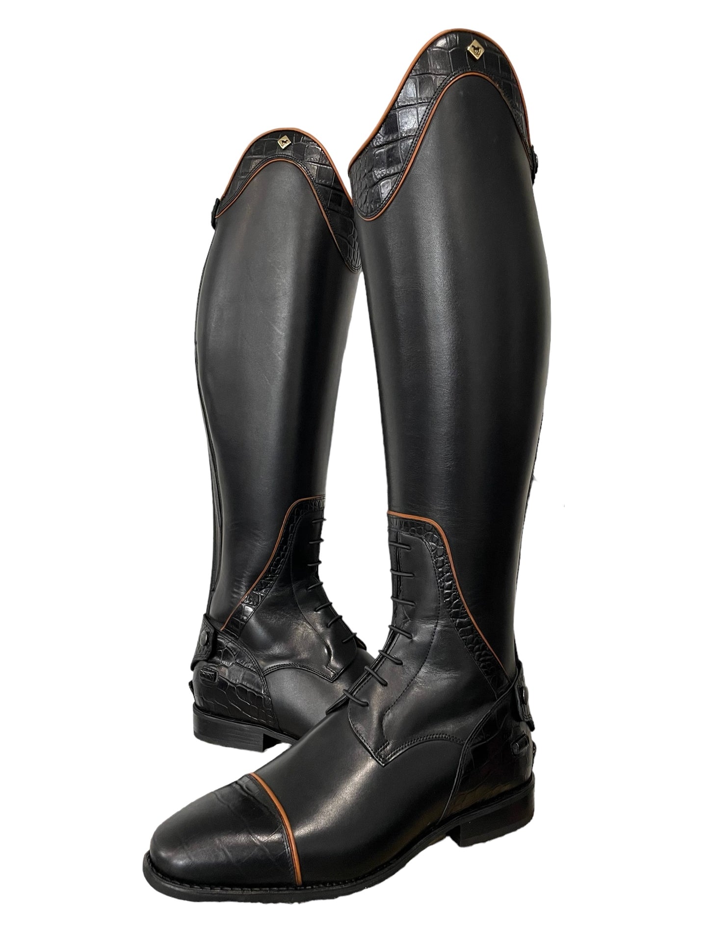 TDR's Frann D 2.0 (DeNiro Achille)