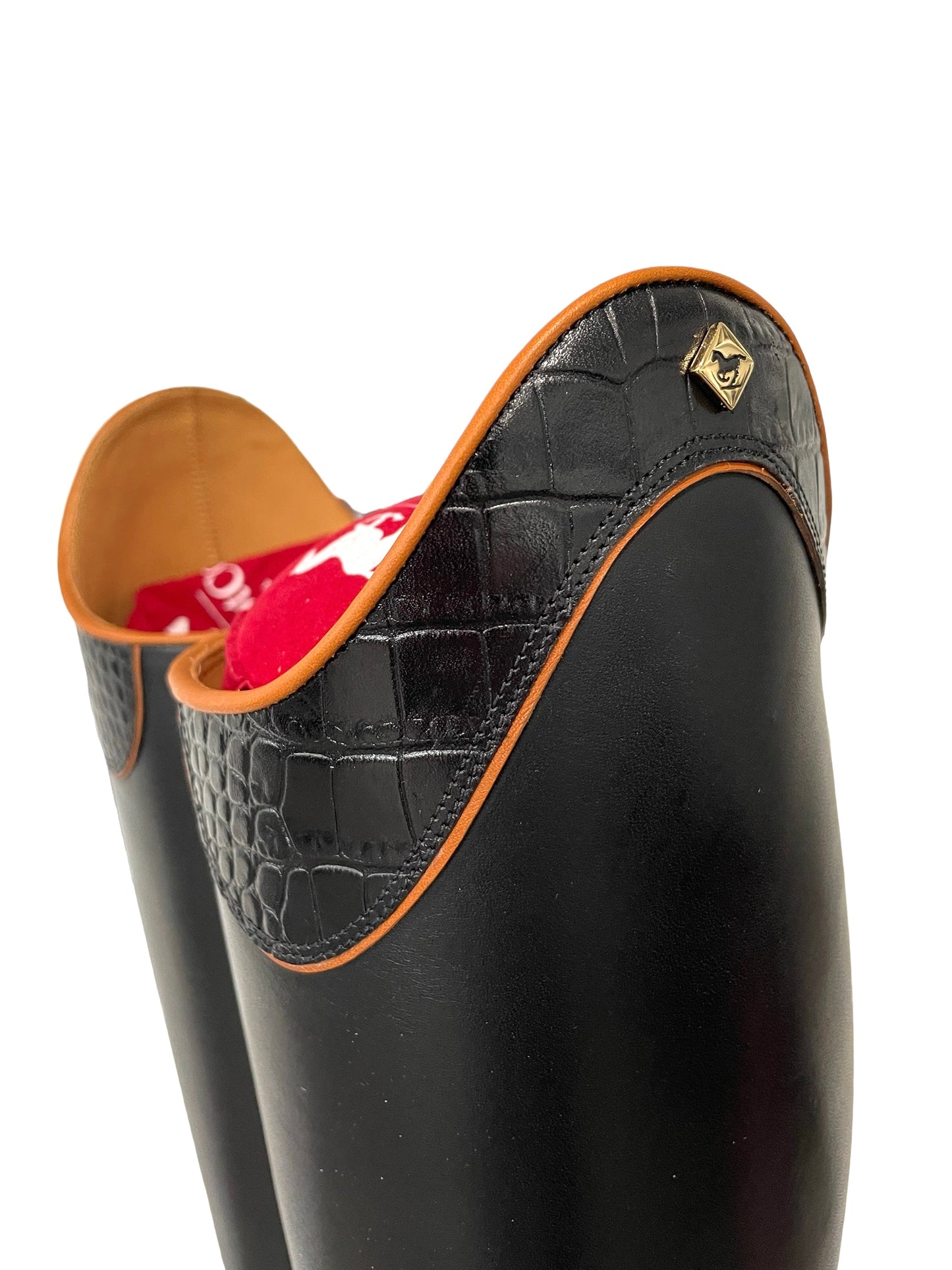 TDR's Frann D 2.0 (DeNiro Achille)