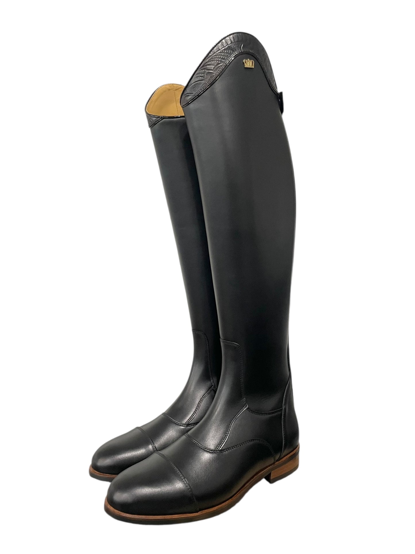 TDR's Courtney L 3.0 (Kingsley Aspen 01)