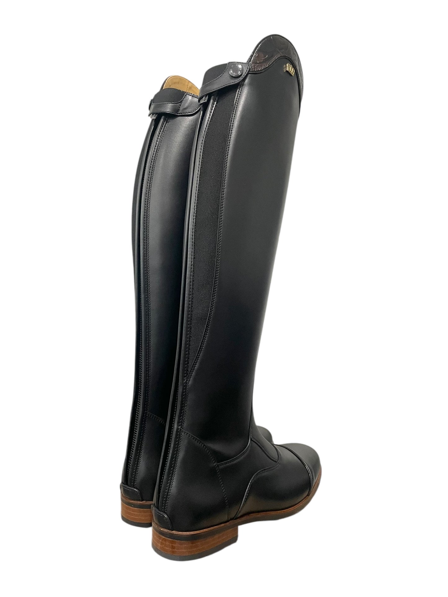 TDR's Courtney L 3.0 (Kingsley Aspen 01)