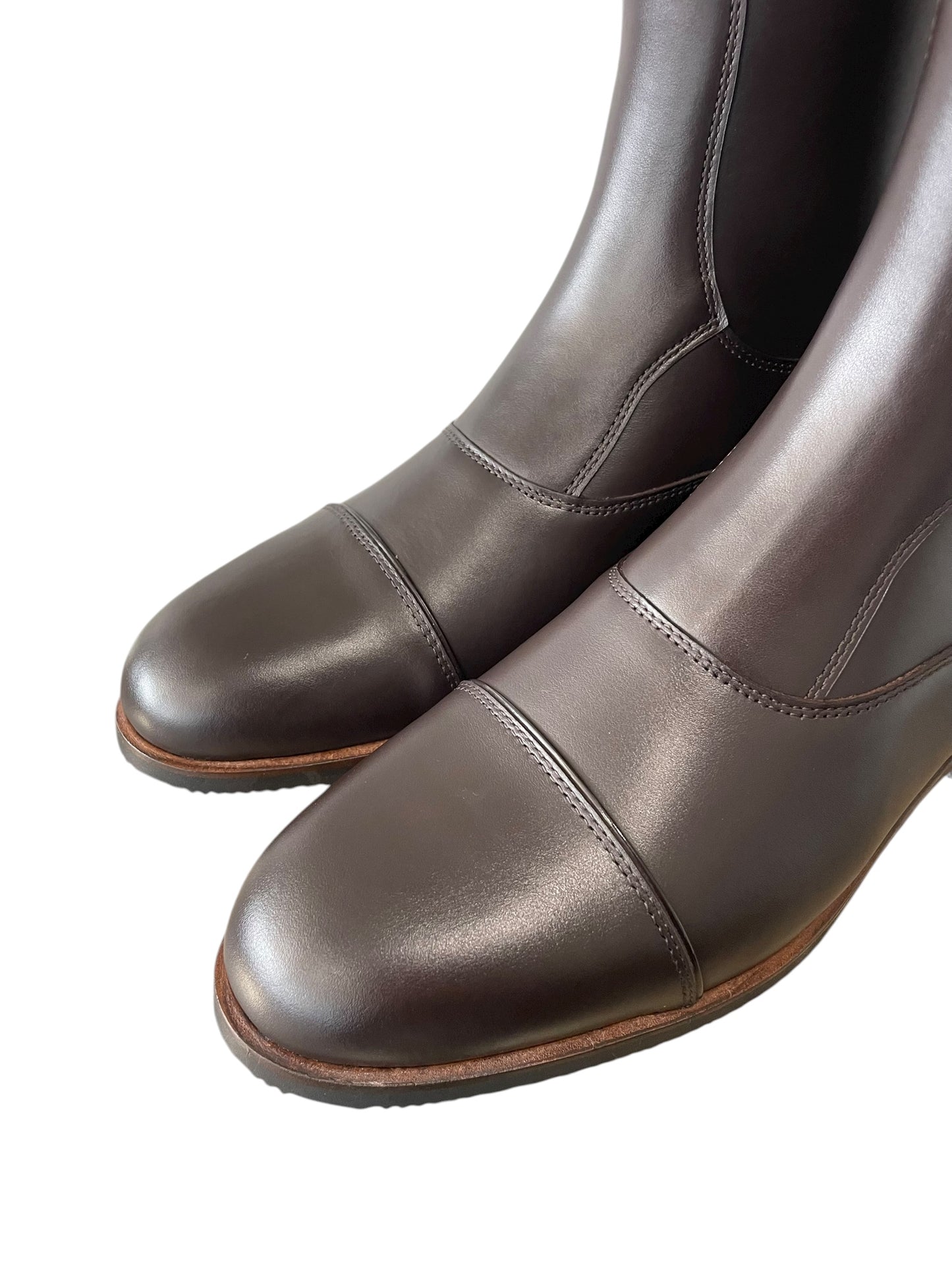 TDR's Elizabeth Sp. (Kingsley Aspen 01)