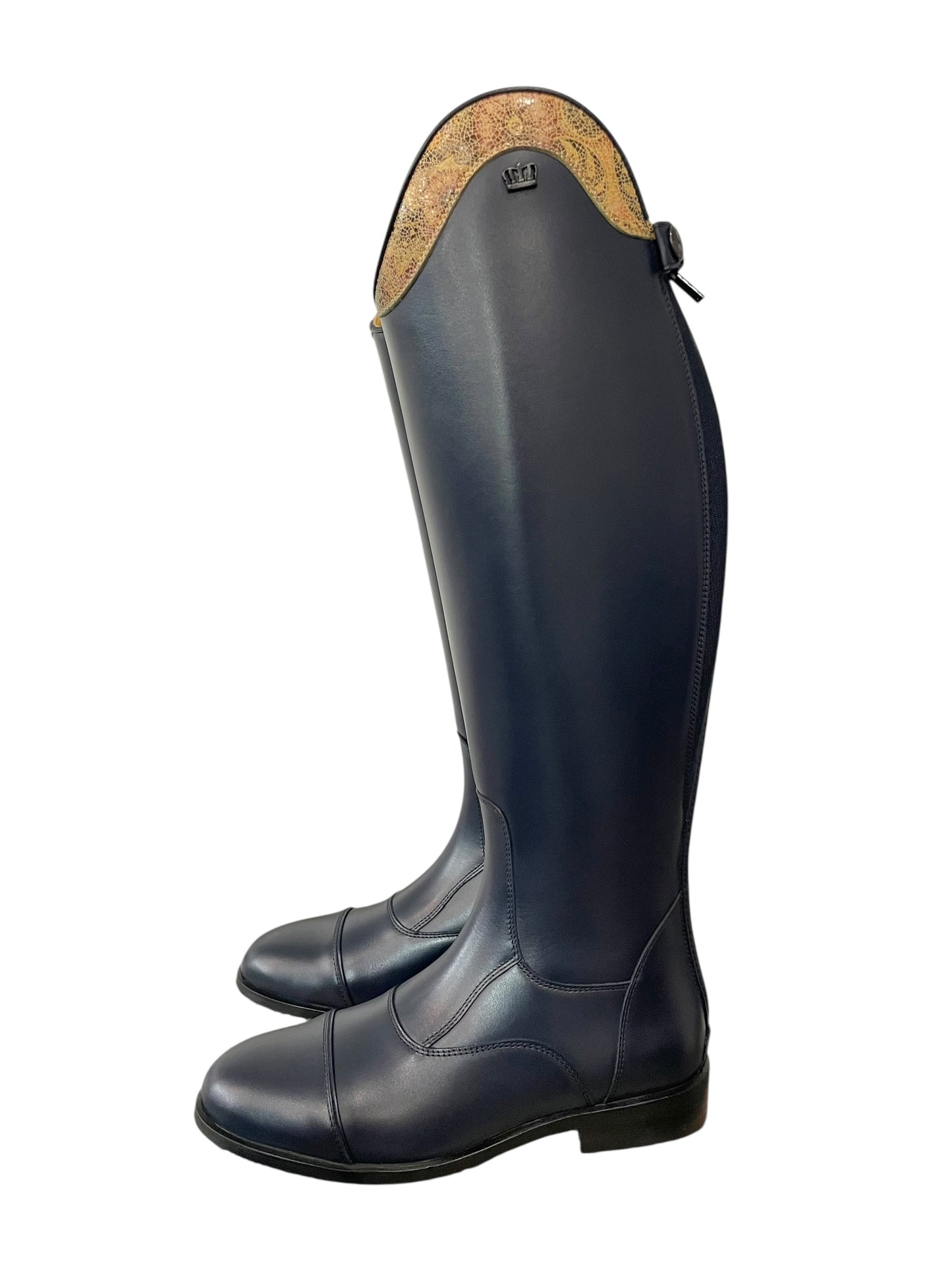 TDR's Gwen D 2.0 (Kingsley Aspen 01)