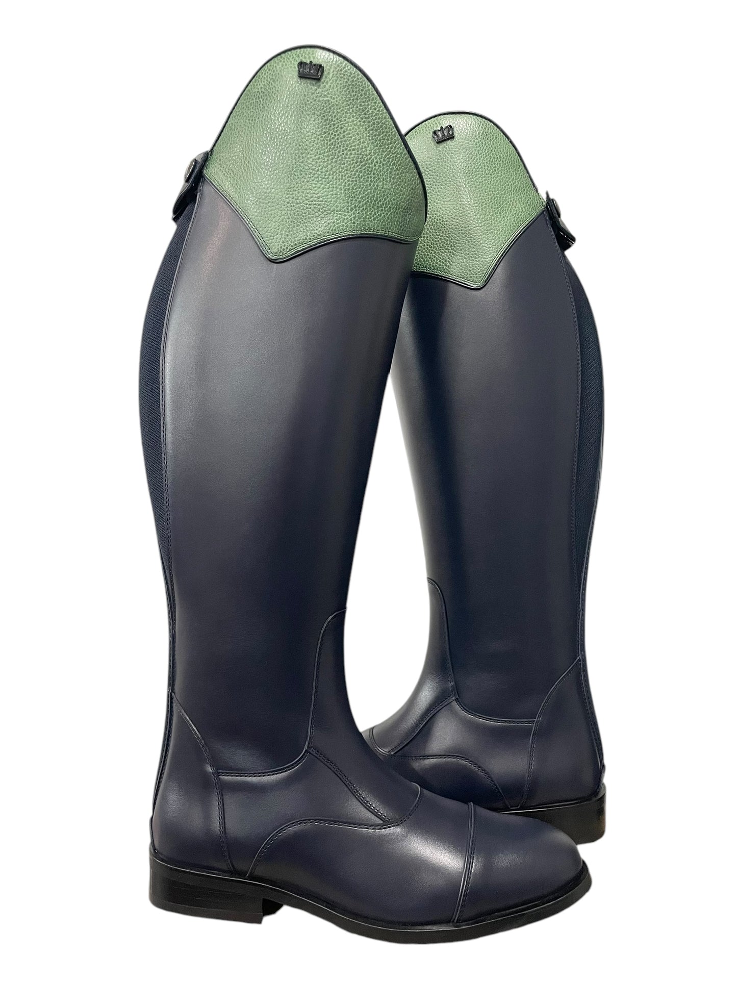 TDR's Gwen D (Kingsley Aspen 01)