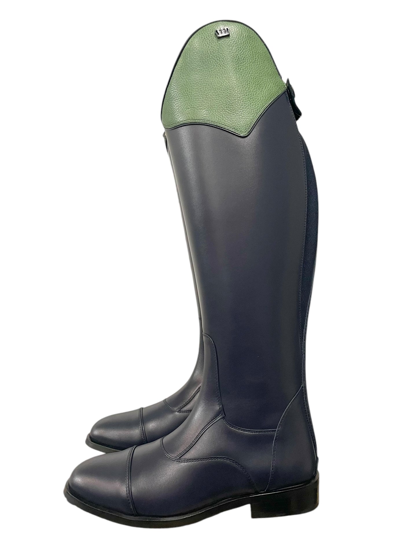 TDR's Gwen D (Kingsley Aspen 01)