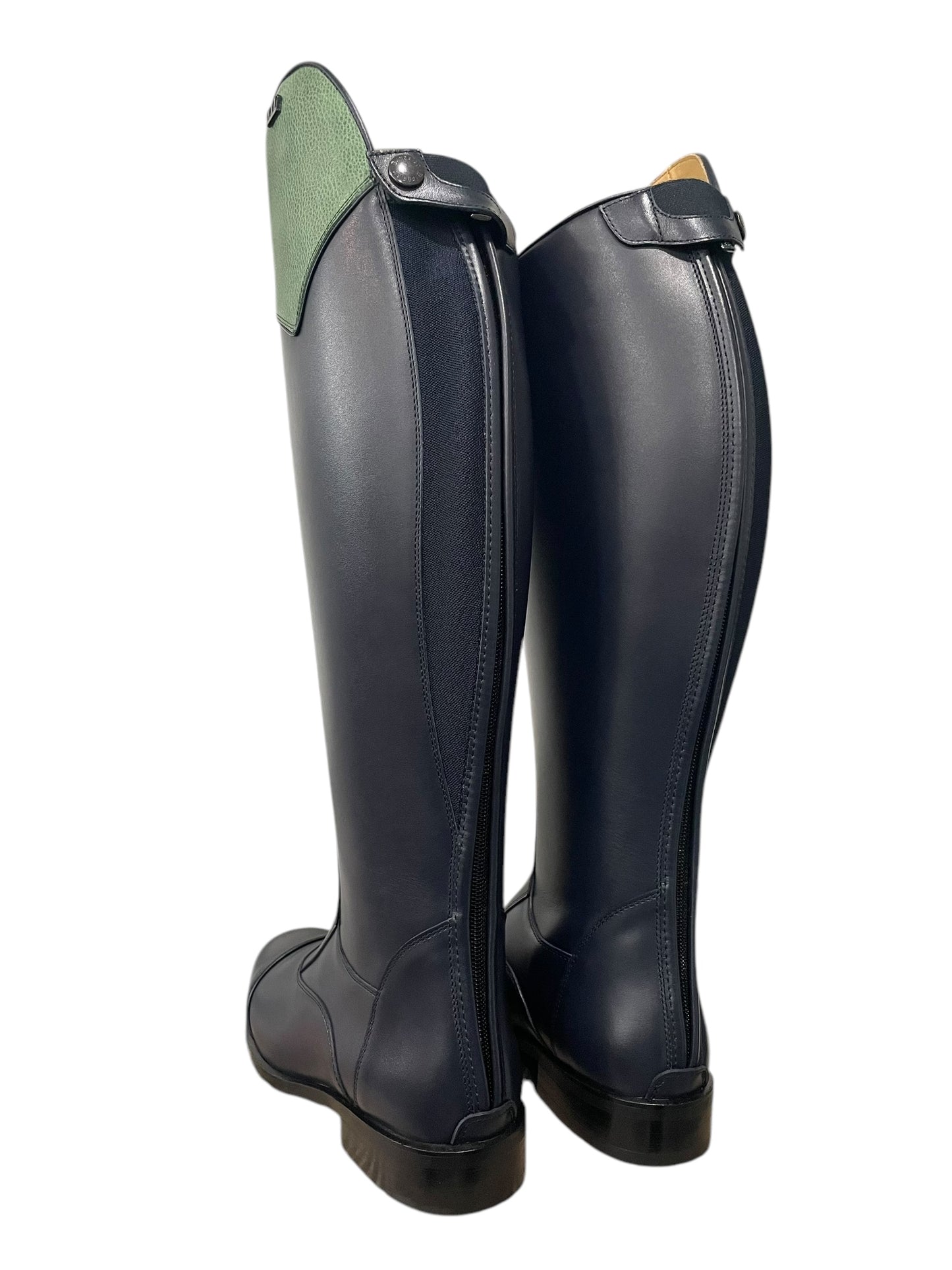 TDR's Gwen D (Kingsley Aspen 01)