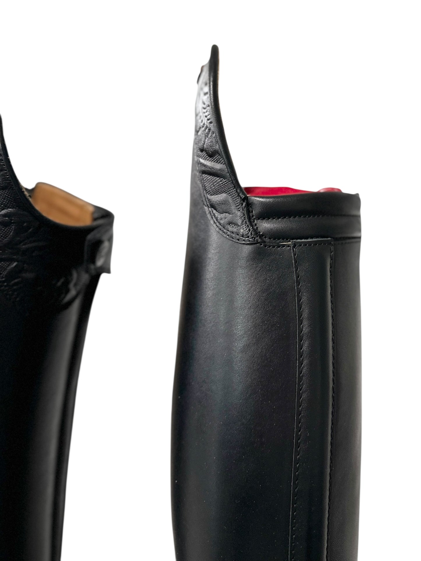 TDR's Sue C 3.0 (DeNiro Bellini)