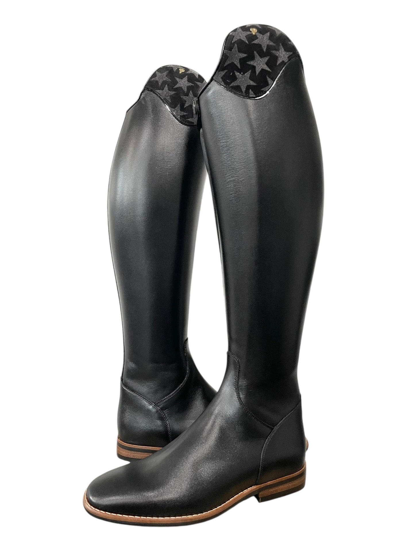 TDR's ABC Jessica 6.0 (Petrie Bergamo)
