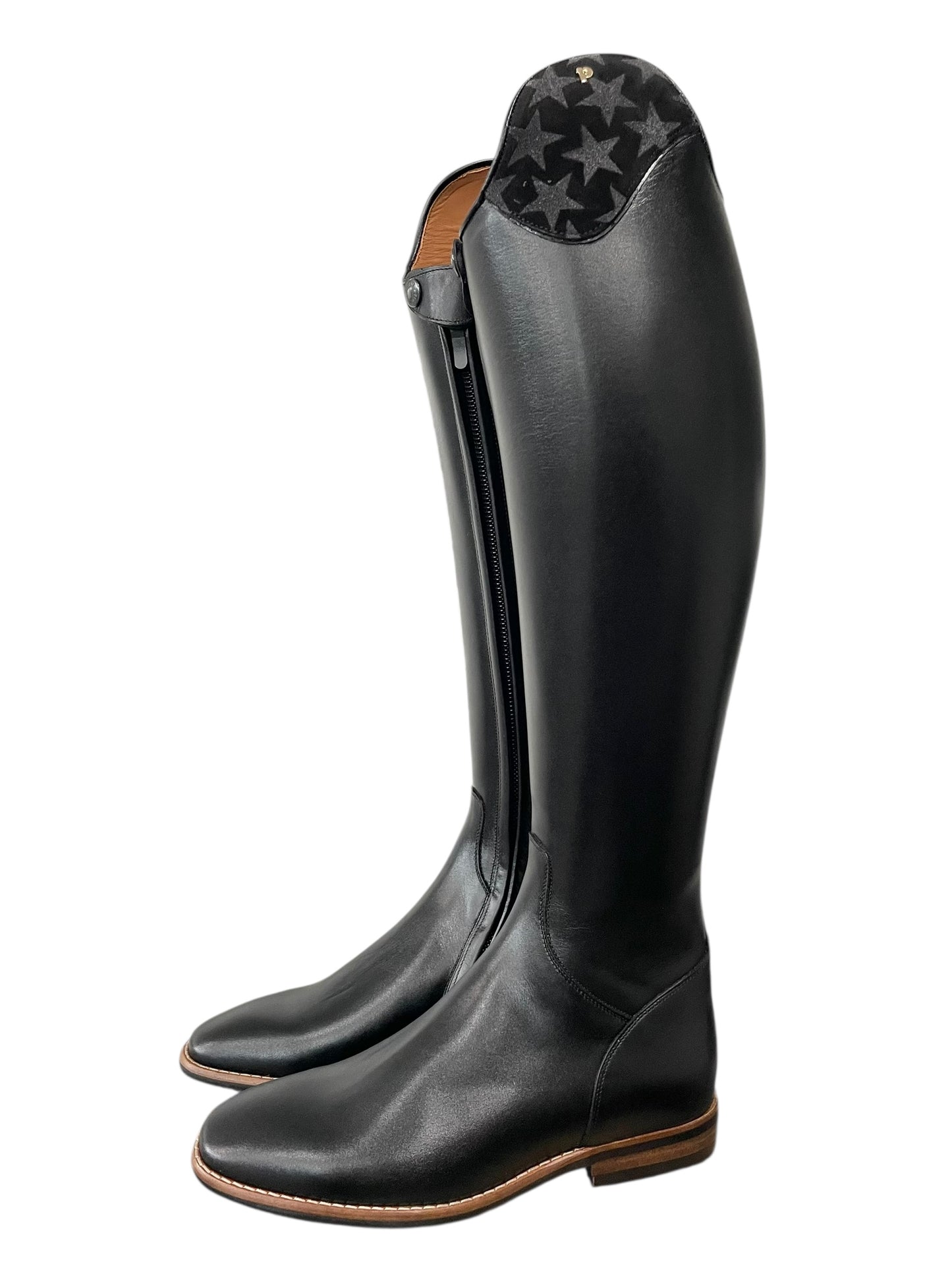 TDR's ABC Jessica 6.0 (Petrie Bergamo)