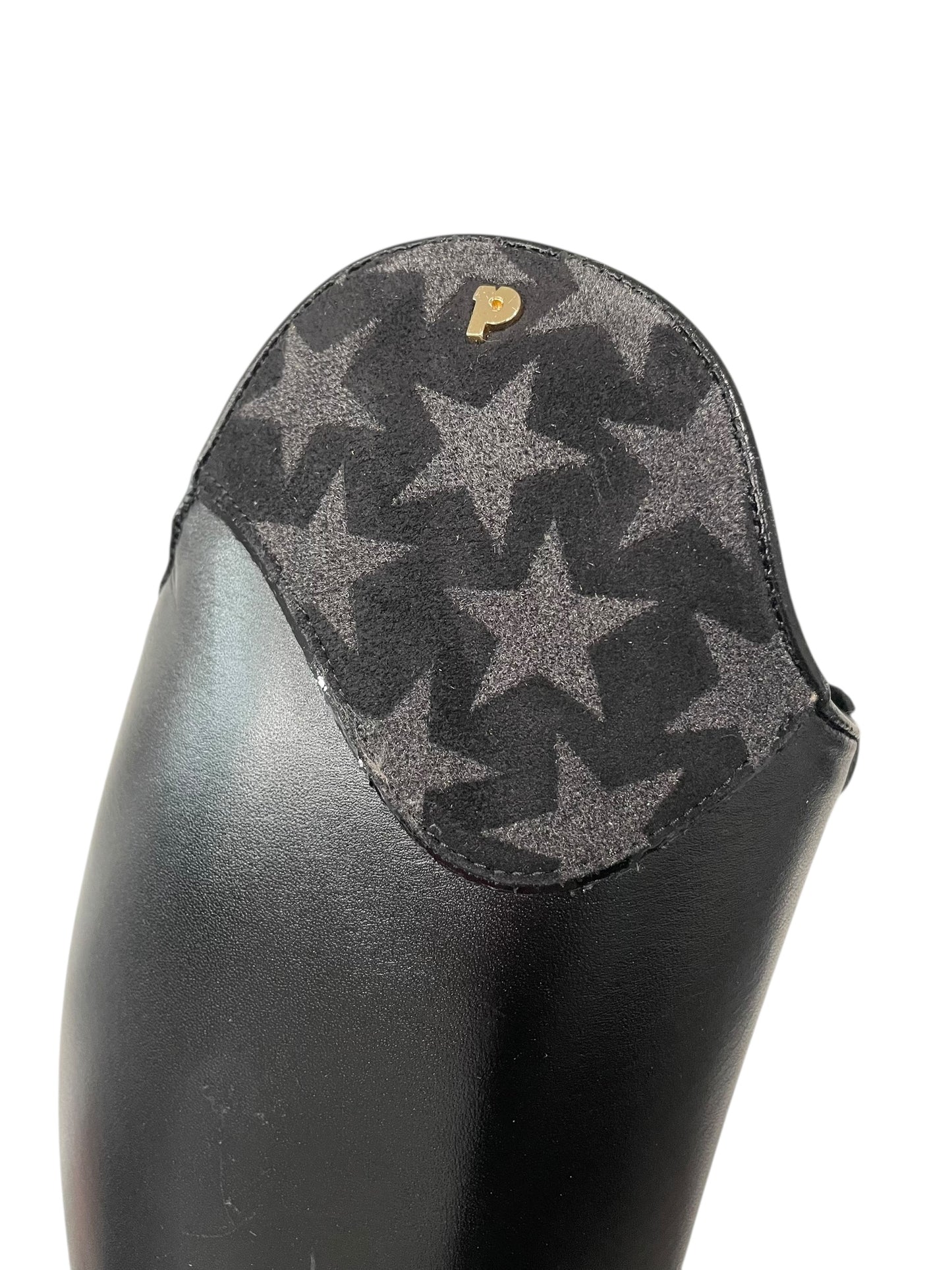 TDR's ABC Jessica 6.0 (Petrie Bergamo)