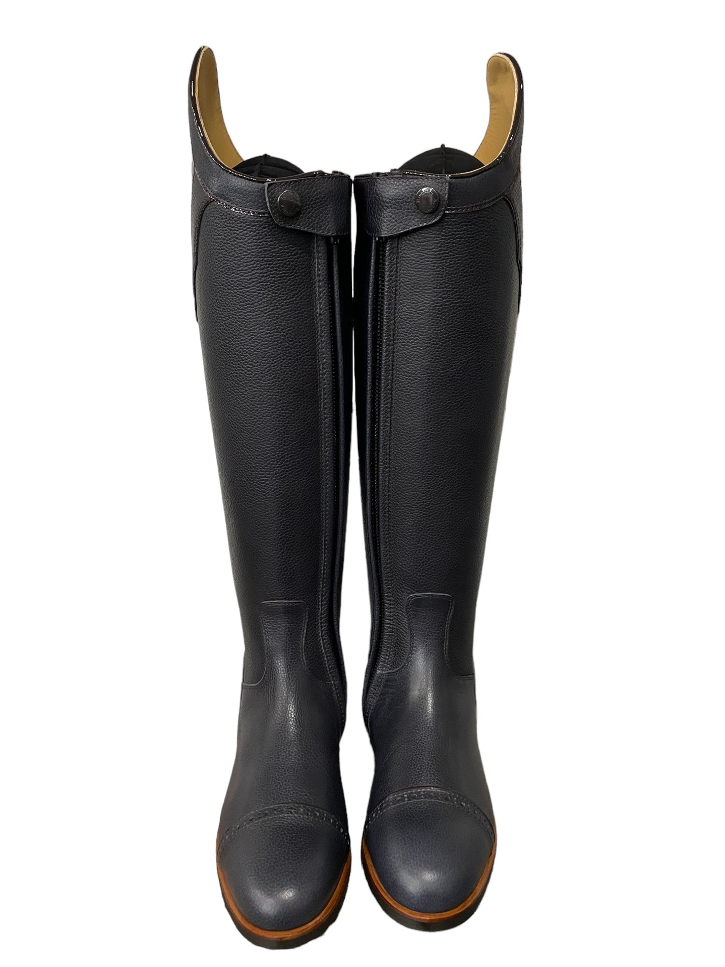 TDR's Diana S 3.0 (Kingsley Capri 01)