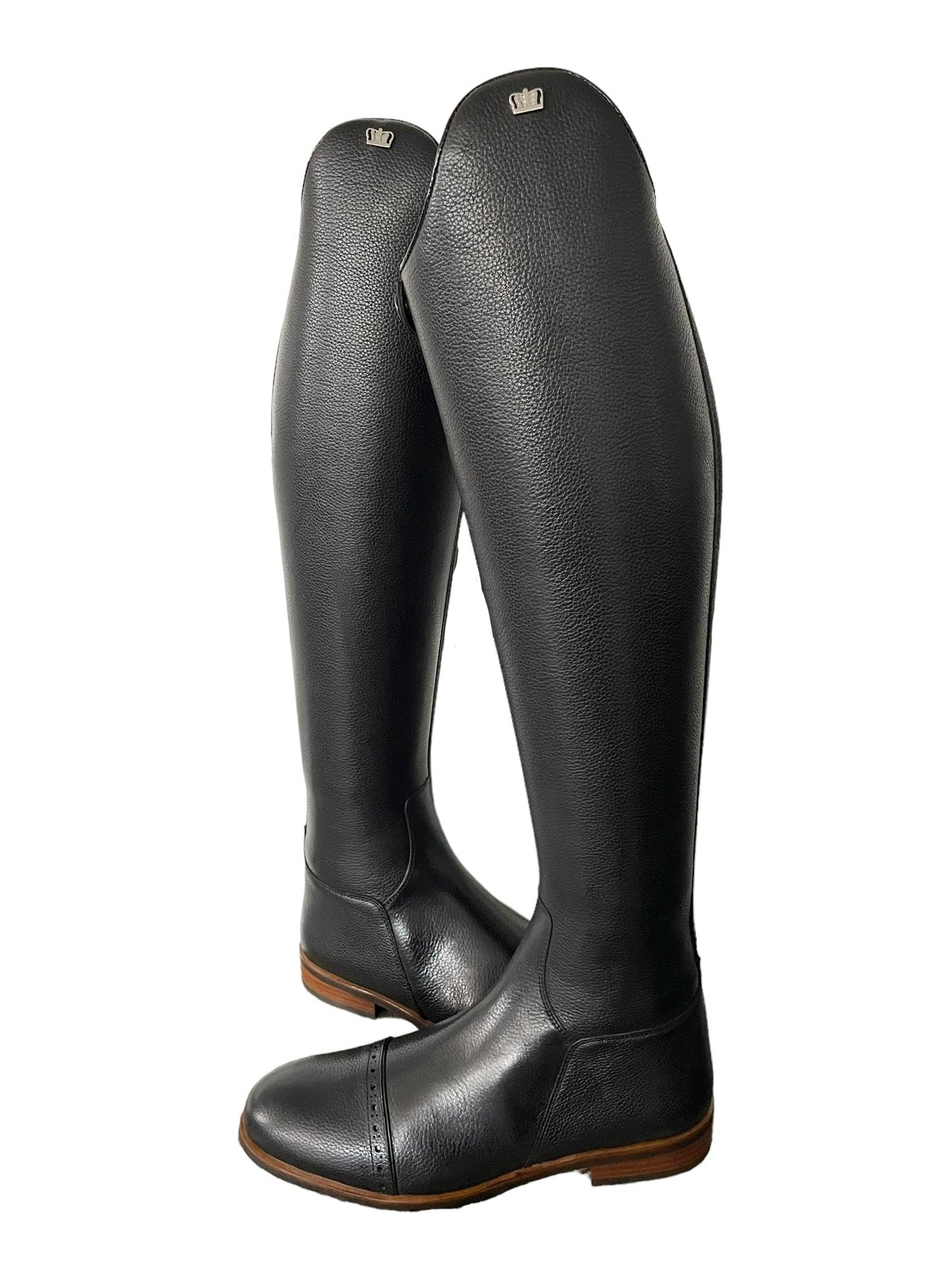 TDR's Ashley 4.0 (Kingsley Capri 02)