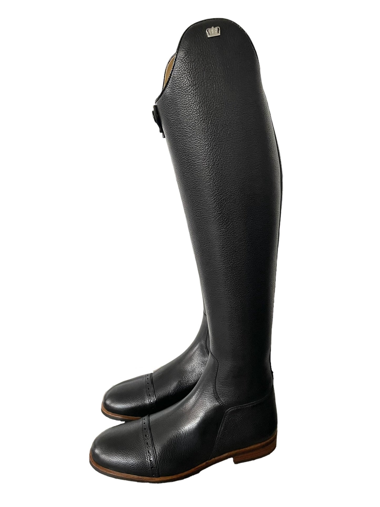 TDR's Ashley 4.0 (Kingsley Capri 02)