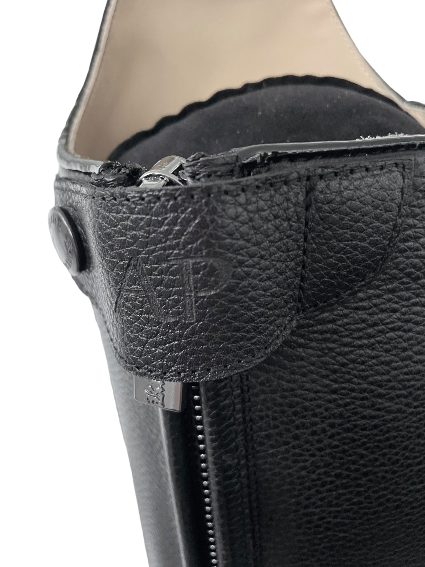 TDR's Ashley 4.0 (Kingsley Capri 02)