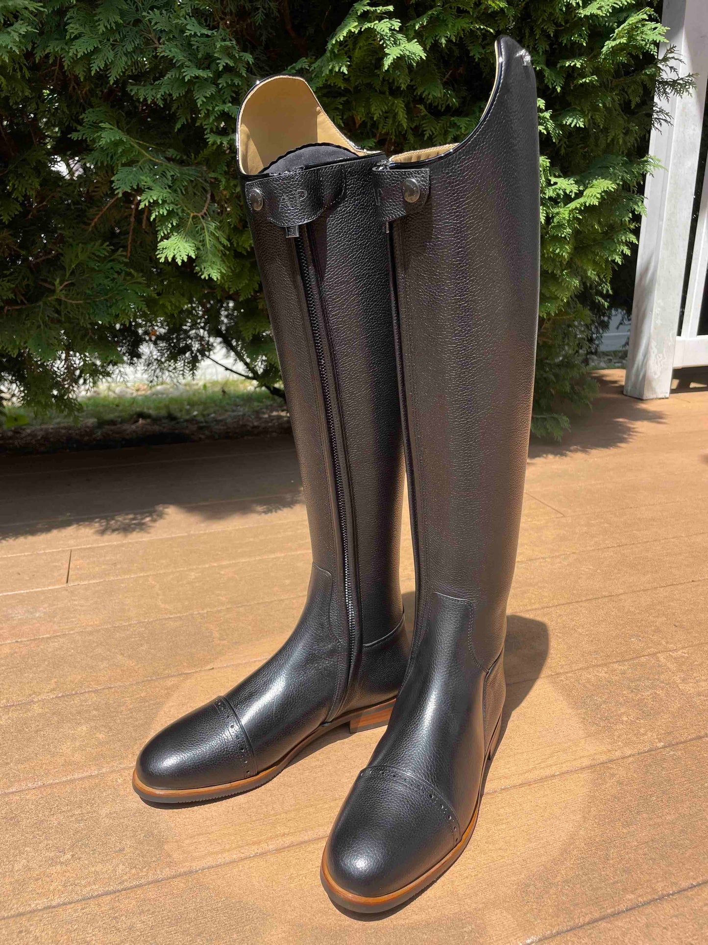 TDR's Ashley 4.0 (Kingsley Capri 02)