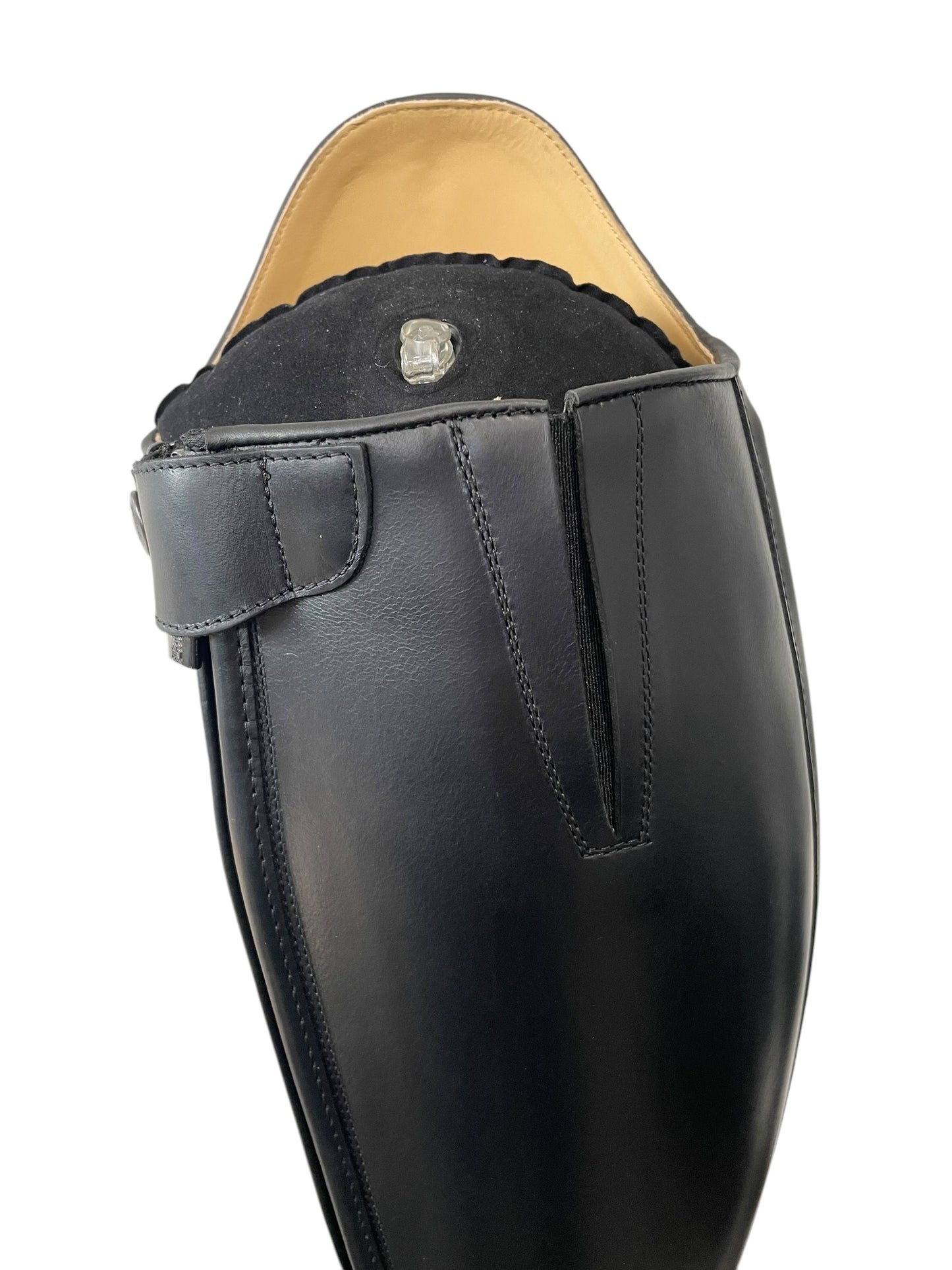 TDR's Debbie M (Kingsley Capri 02 with Montreal Sole)