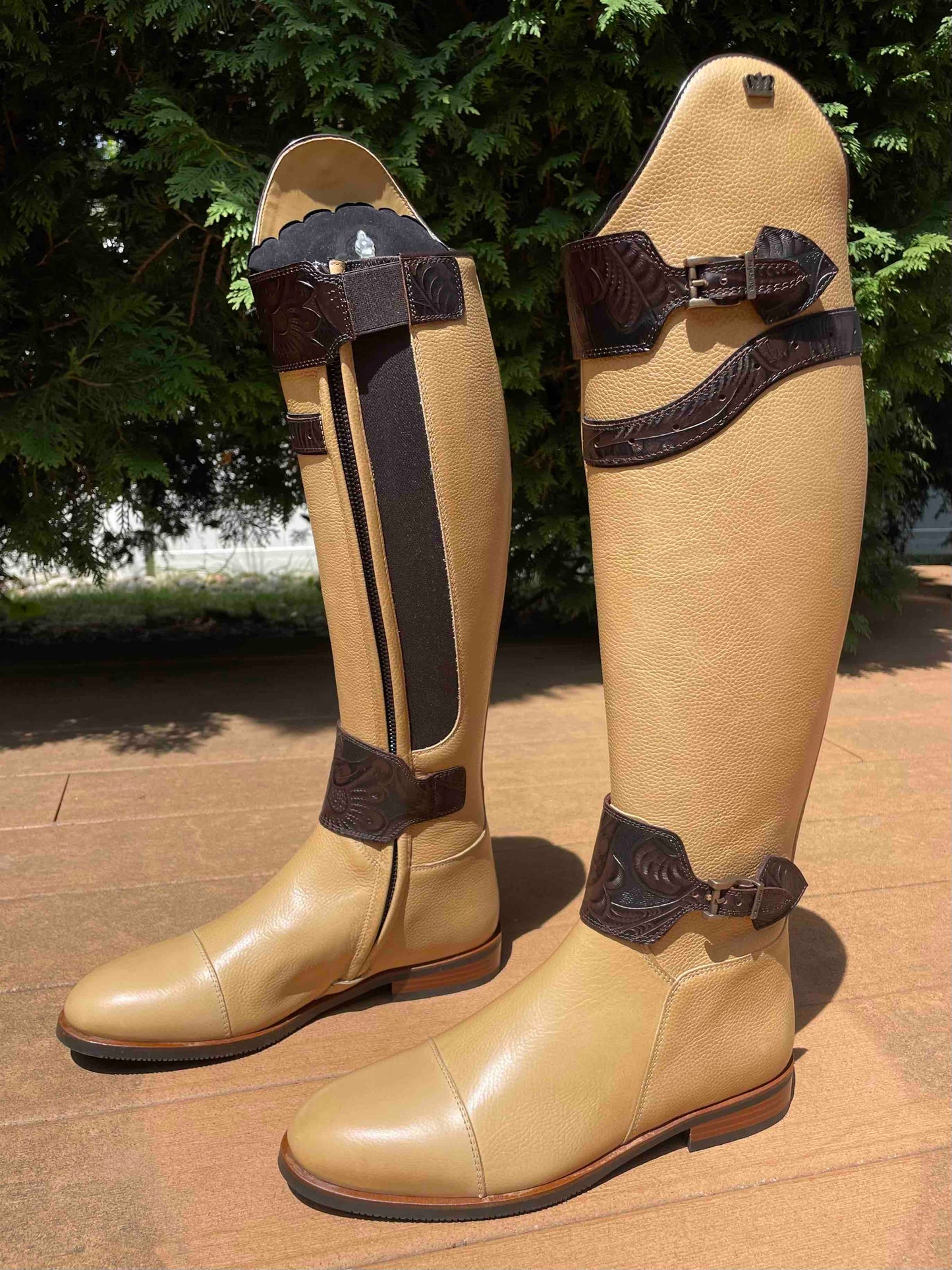 TDR's Gayle K (Kingsley Capri 01 with London Straps)