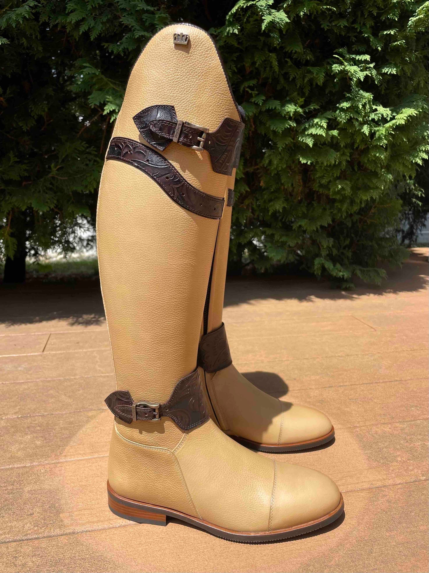 TDR's Gayle K (Kingsley Capri 01 with London Straps)