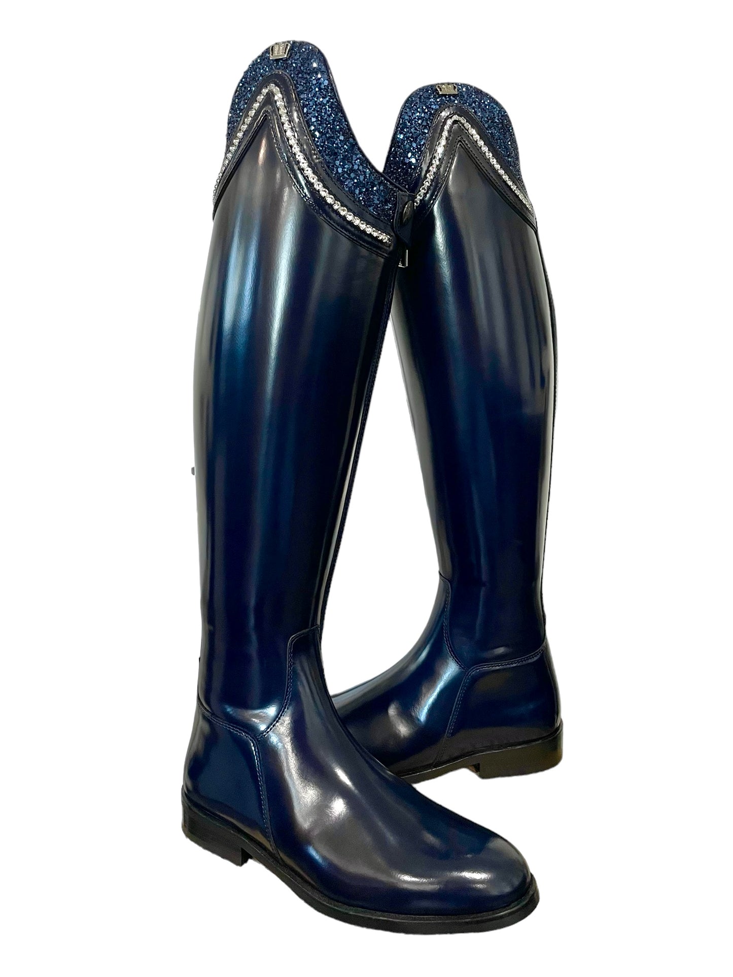 TDR's Holly N (Kingsley Capri 02)