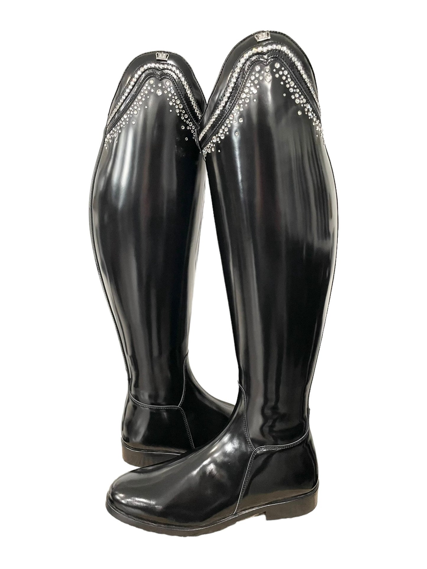 TDR's Jacqui L 3.0 (Kingsley Capri 02)