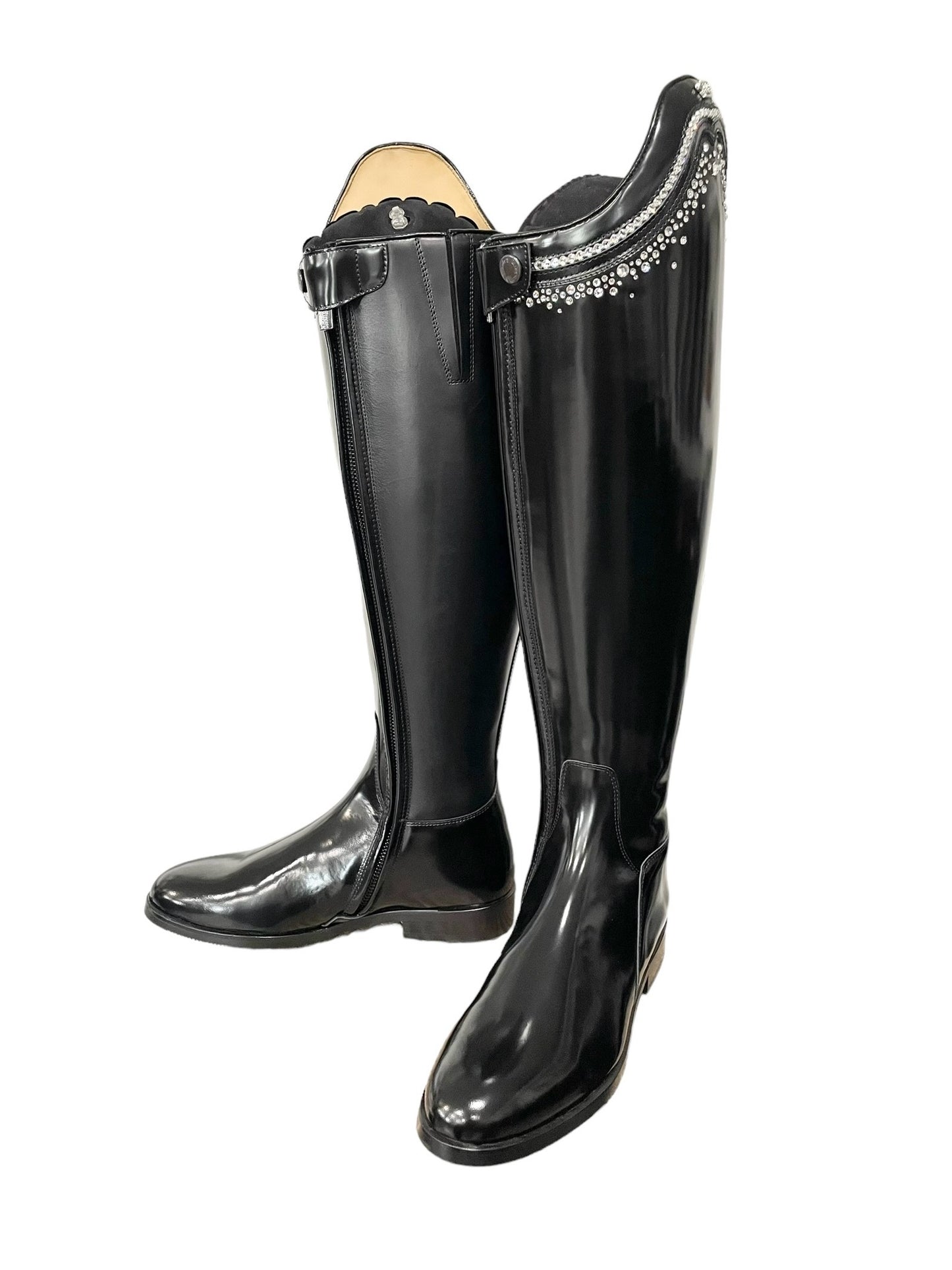 TDR's Jacqui L 3.0 (Kingsley Capri 02)