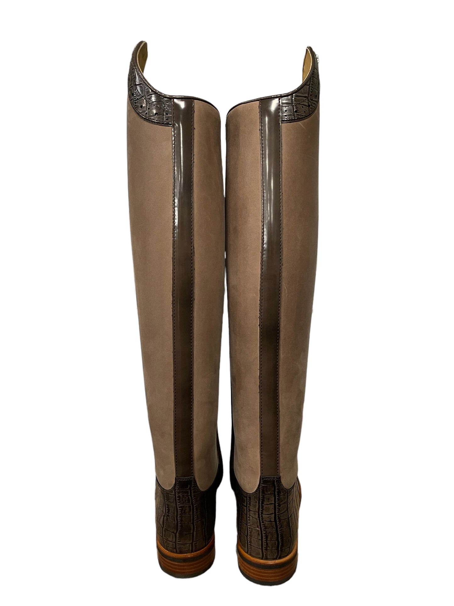 TDR's Keni (Kingsley Capri 02)