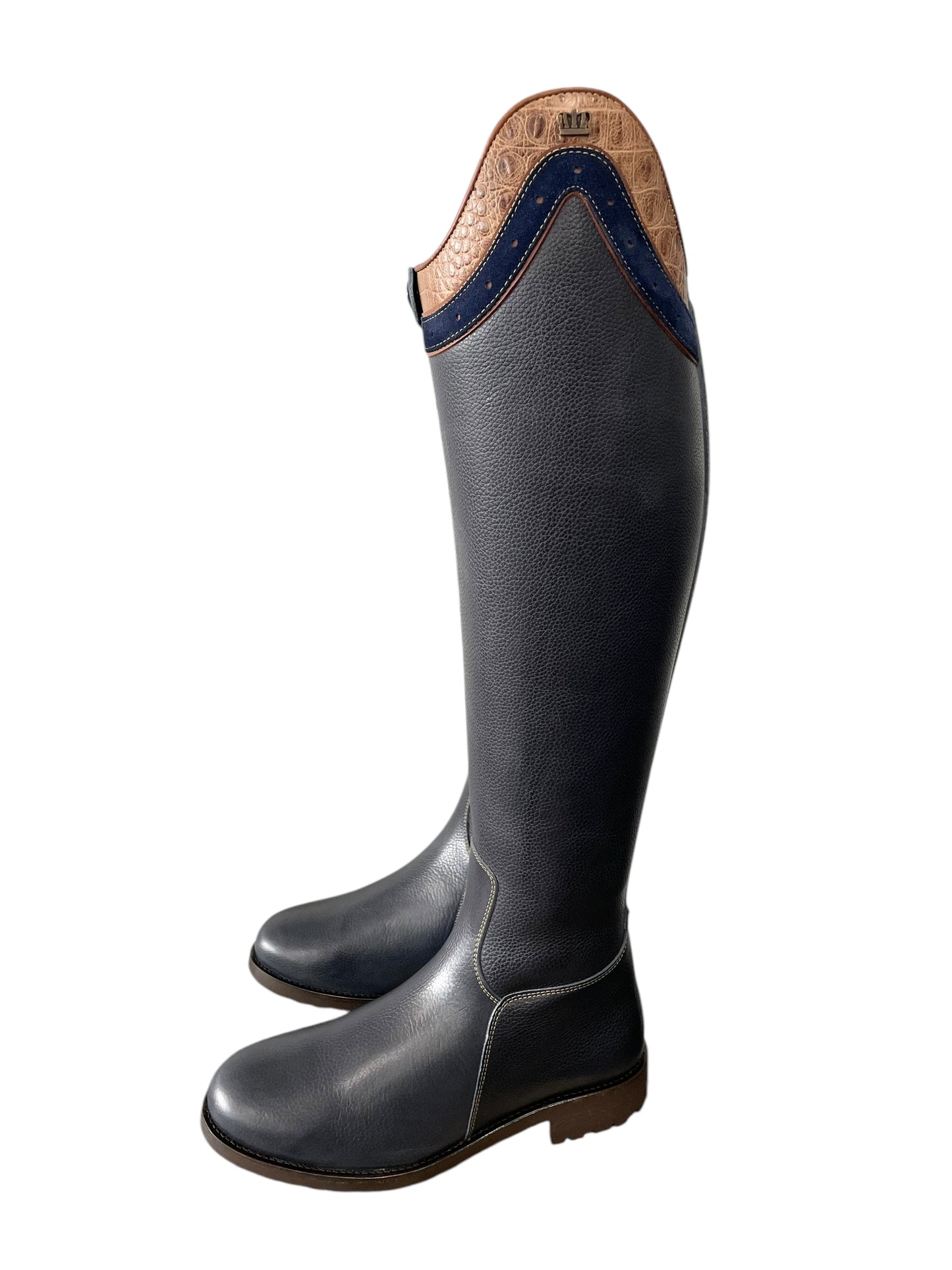 TDR's Patricia L (Kingsley Capri 02 with Amsterdam Sole)